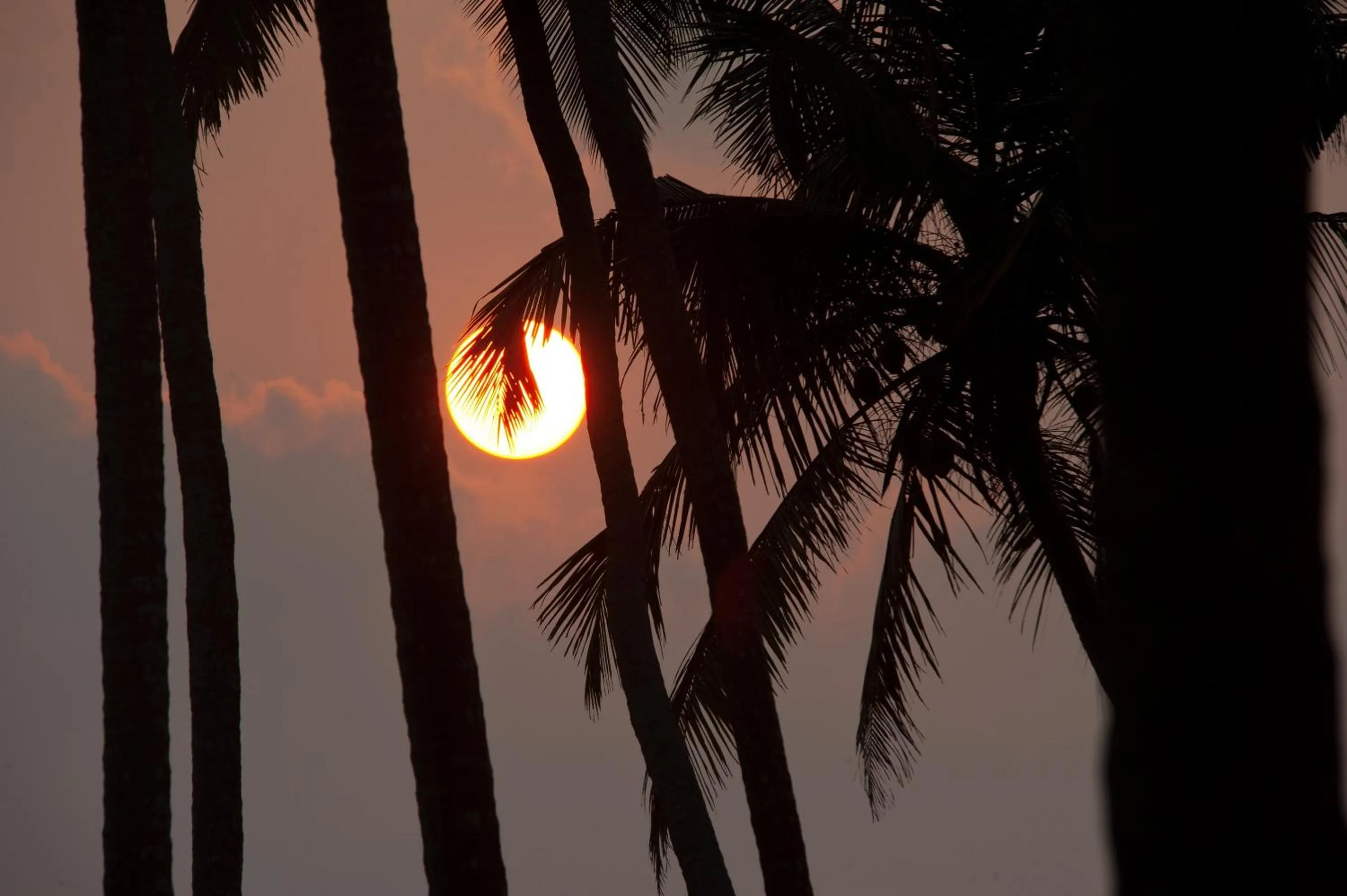 Garden view in Reef Villa