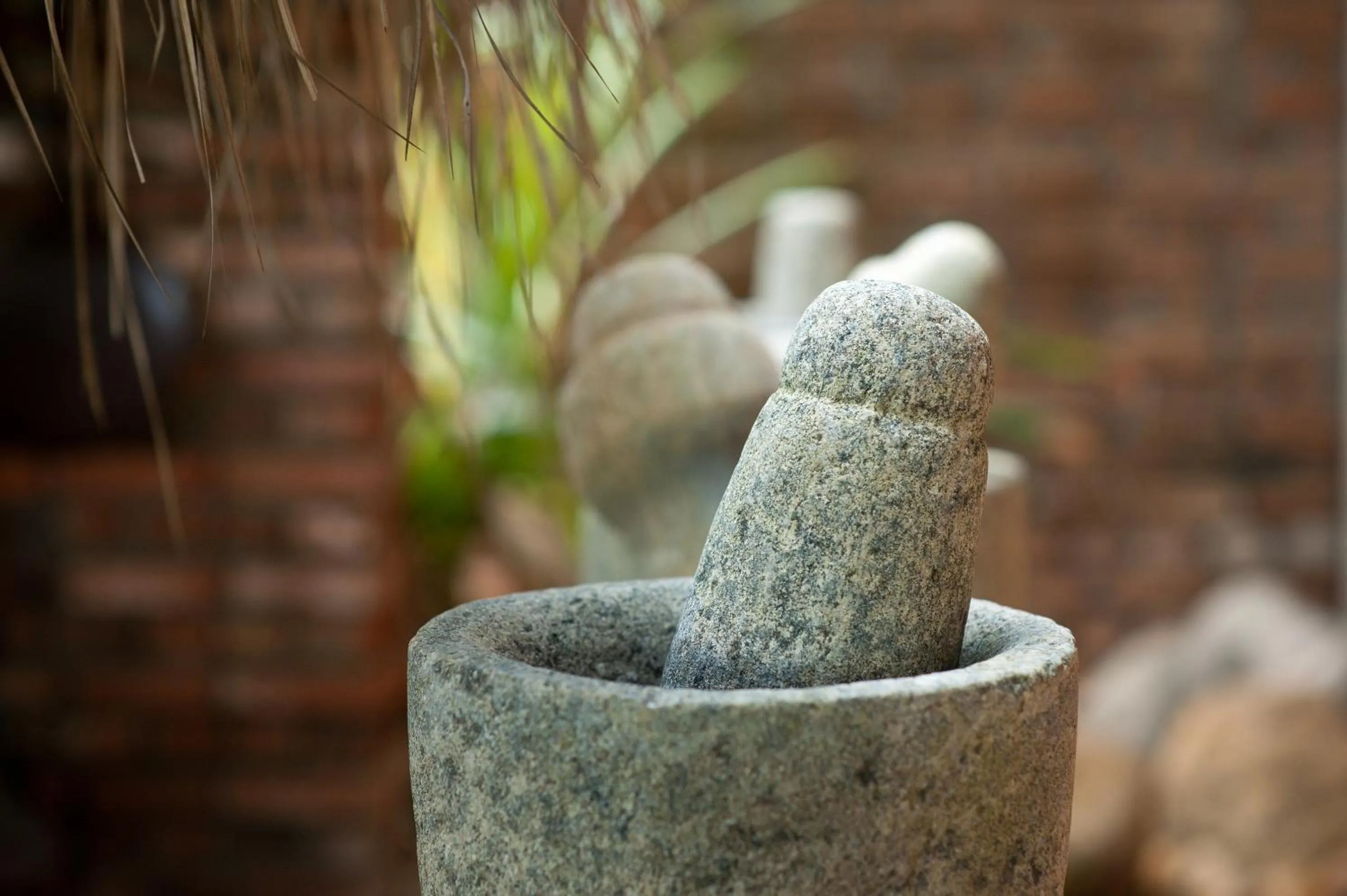 Restaurant/places to eat in Reef Villa