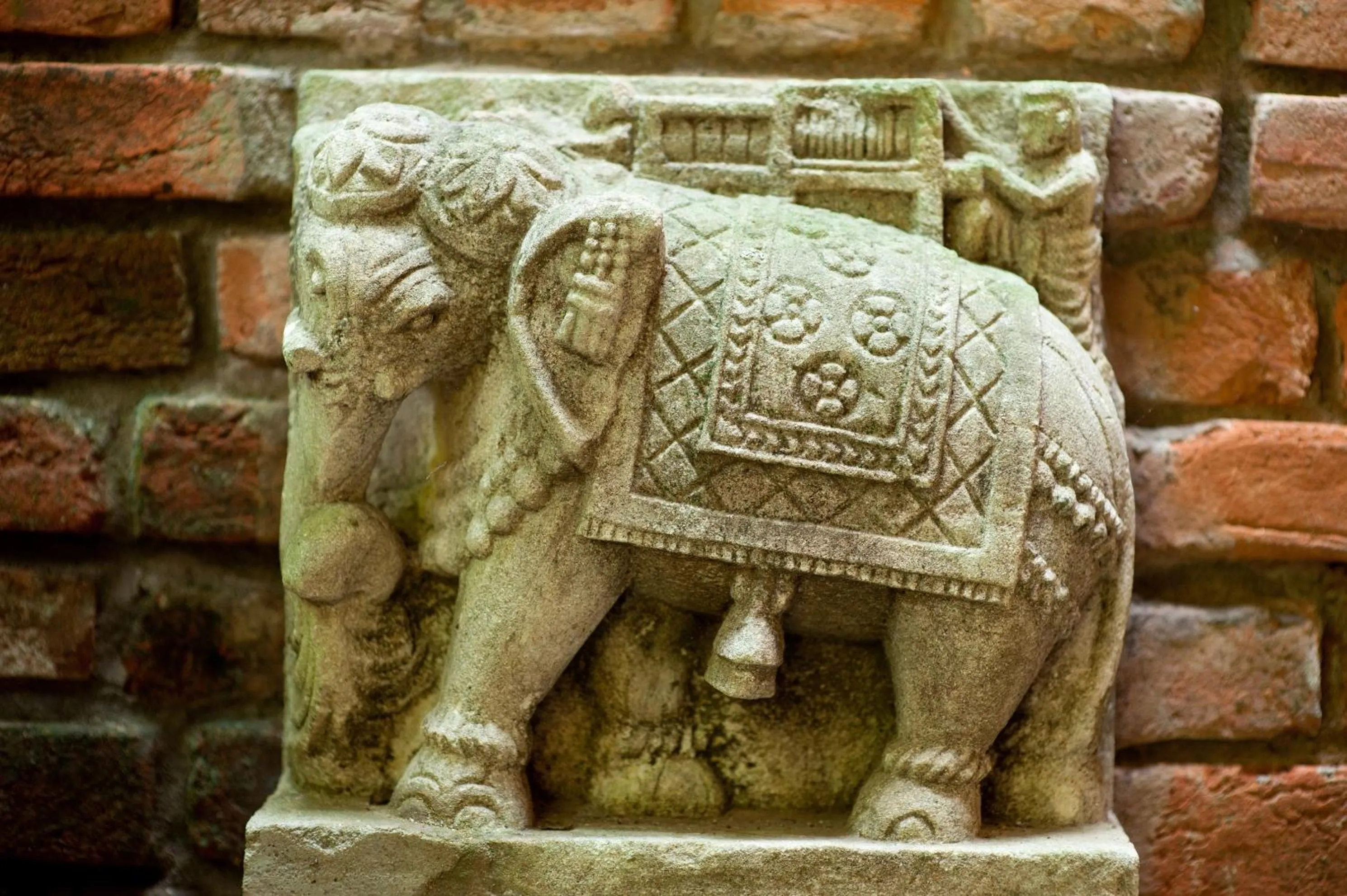 Decorative detail in Reef Villa