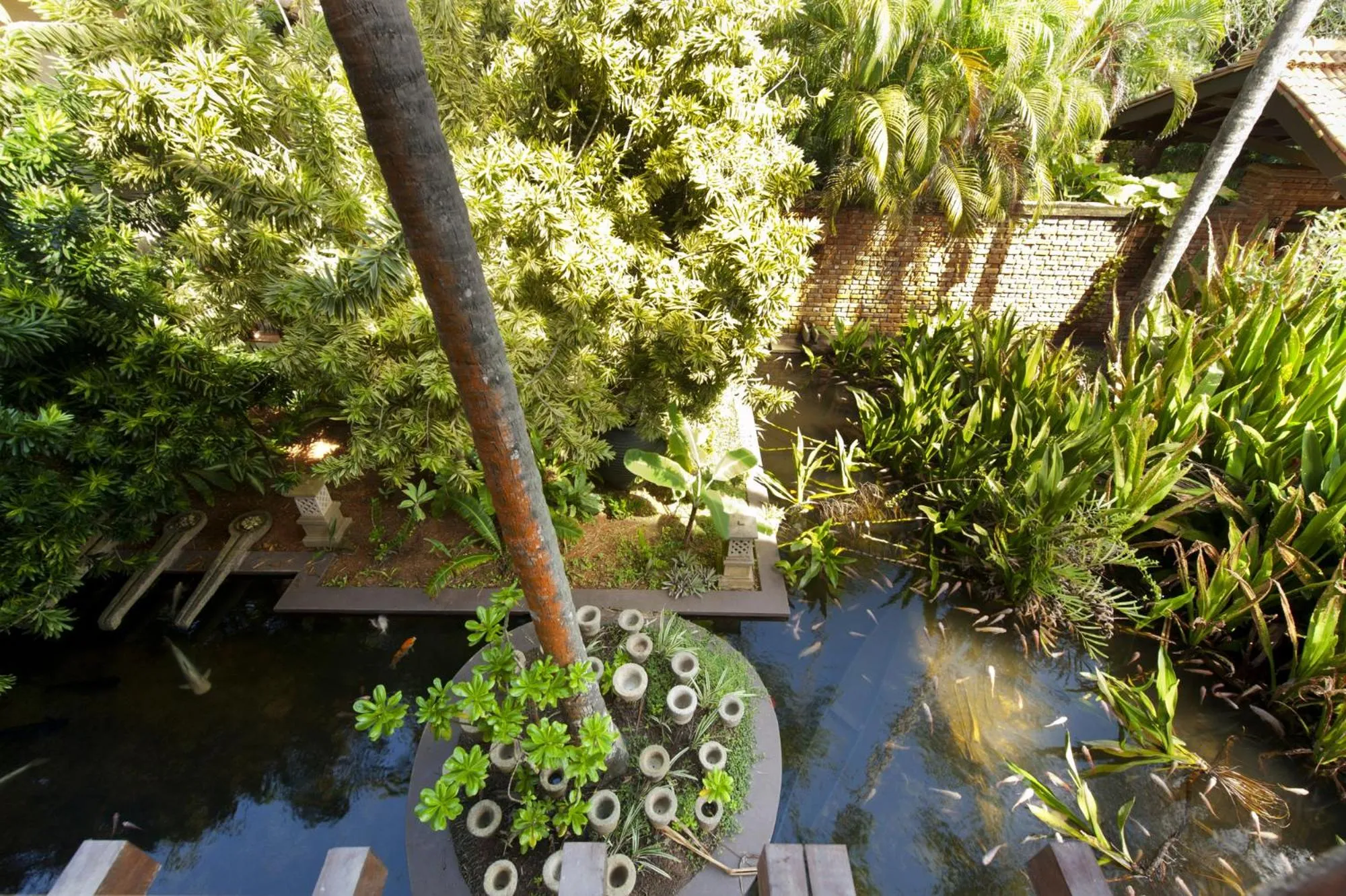 Garden in Reef Villa