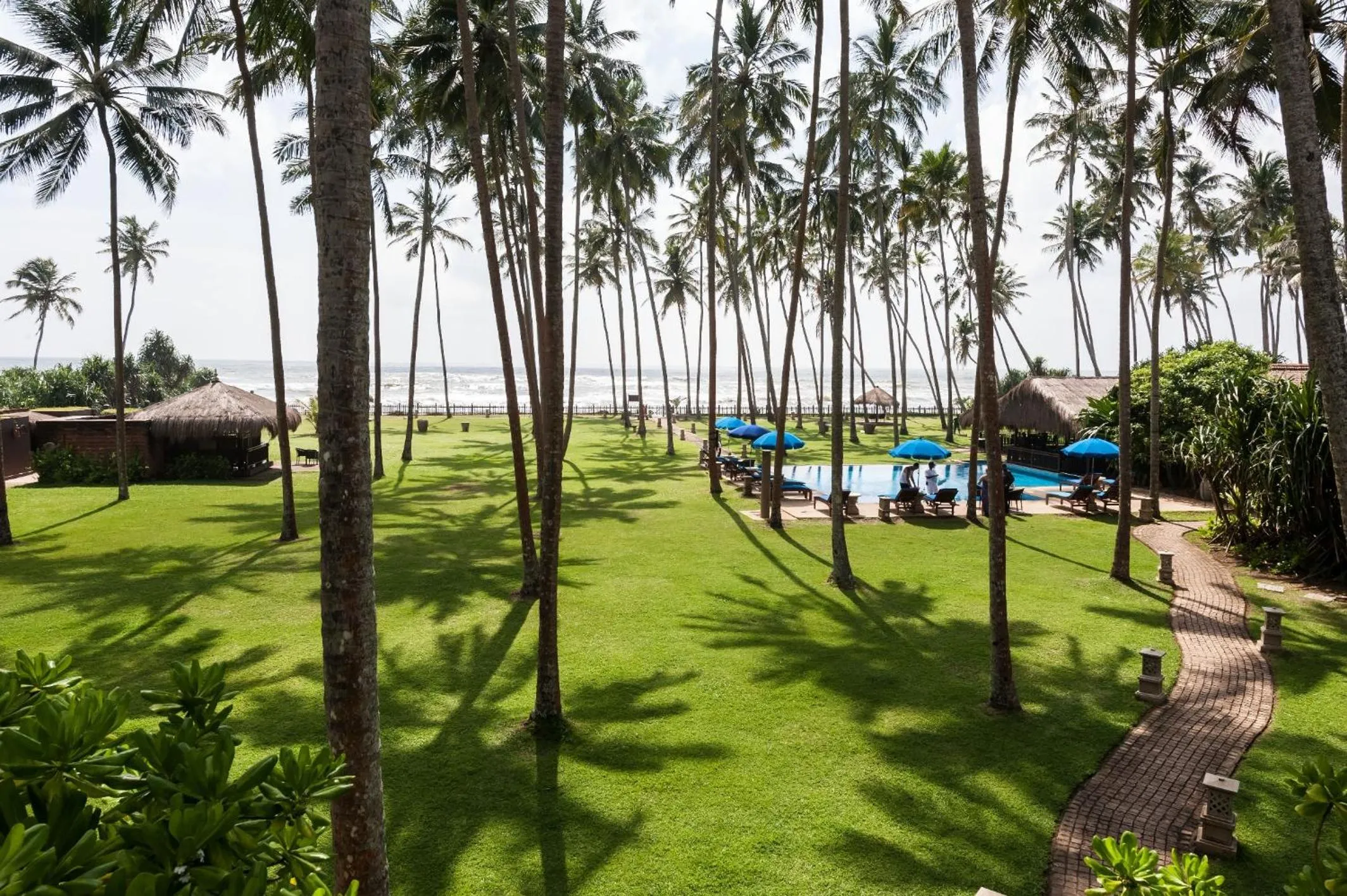 Garden in Reef Villa