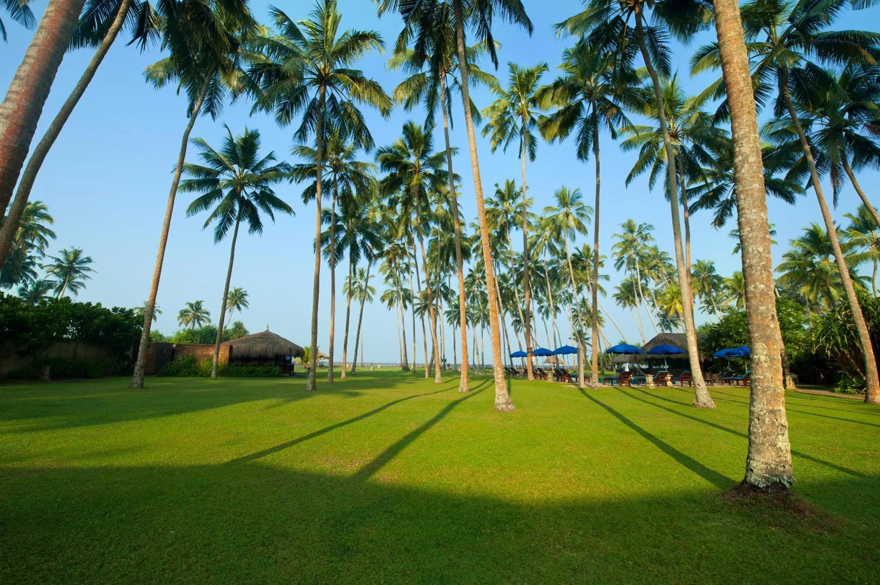 Garden view in Reef Villa