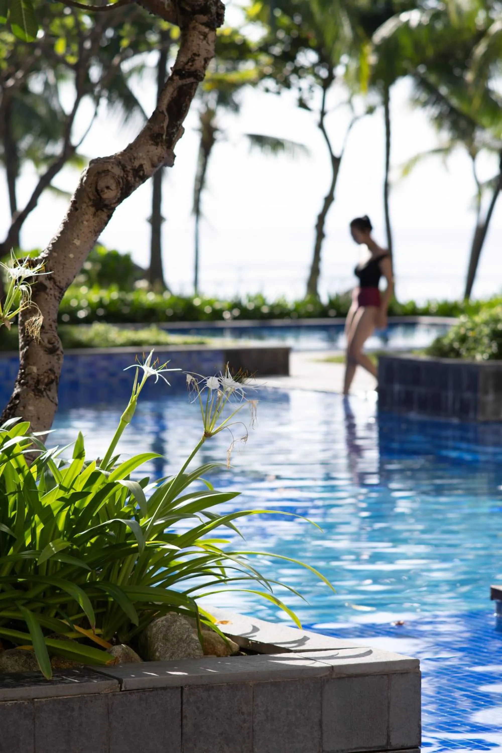 Swimming pool in Danang Marriott Resort & Spa