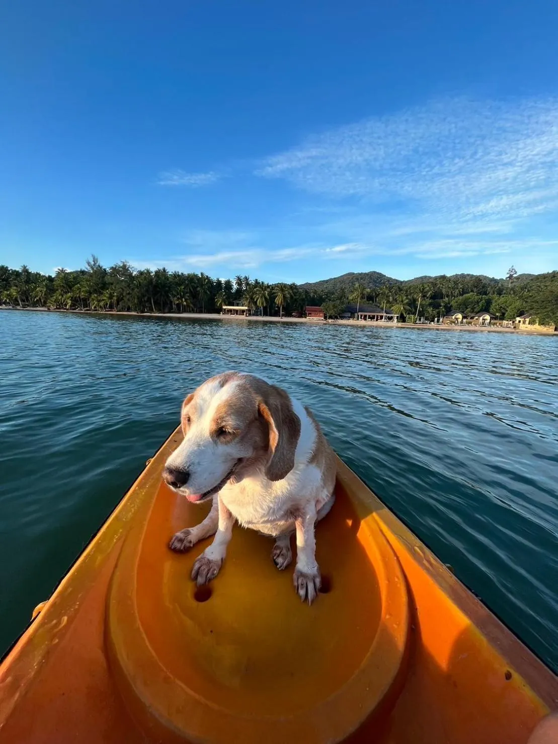 Beach in Chantaramas Beach Resort Koh Phangan