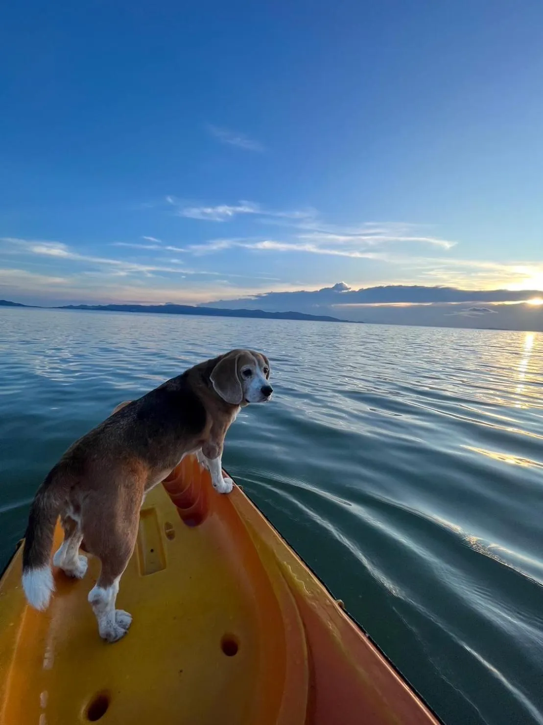 Activities in Chantaramas Beach Resort Koh Phangan