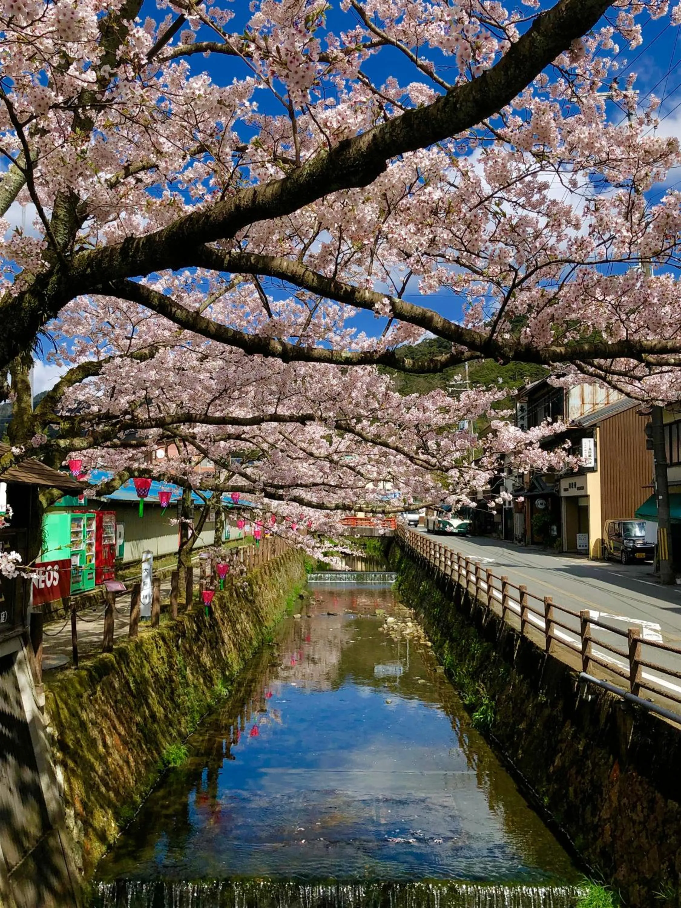 Off site in Tsutaya Ryokan