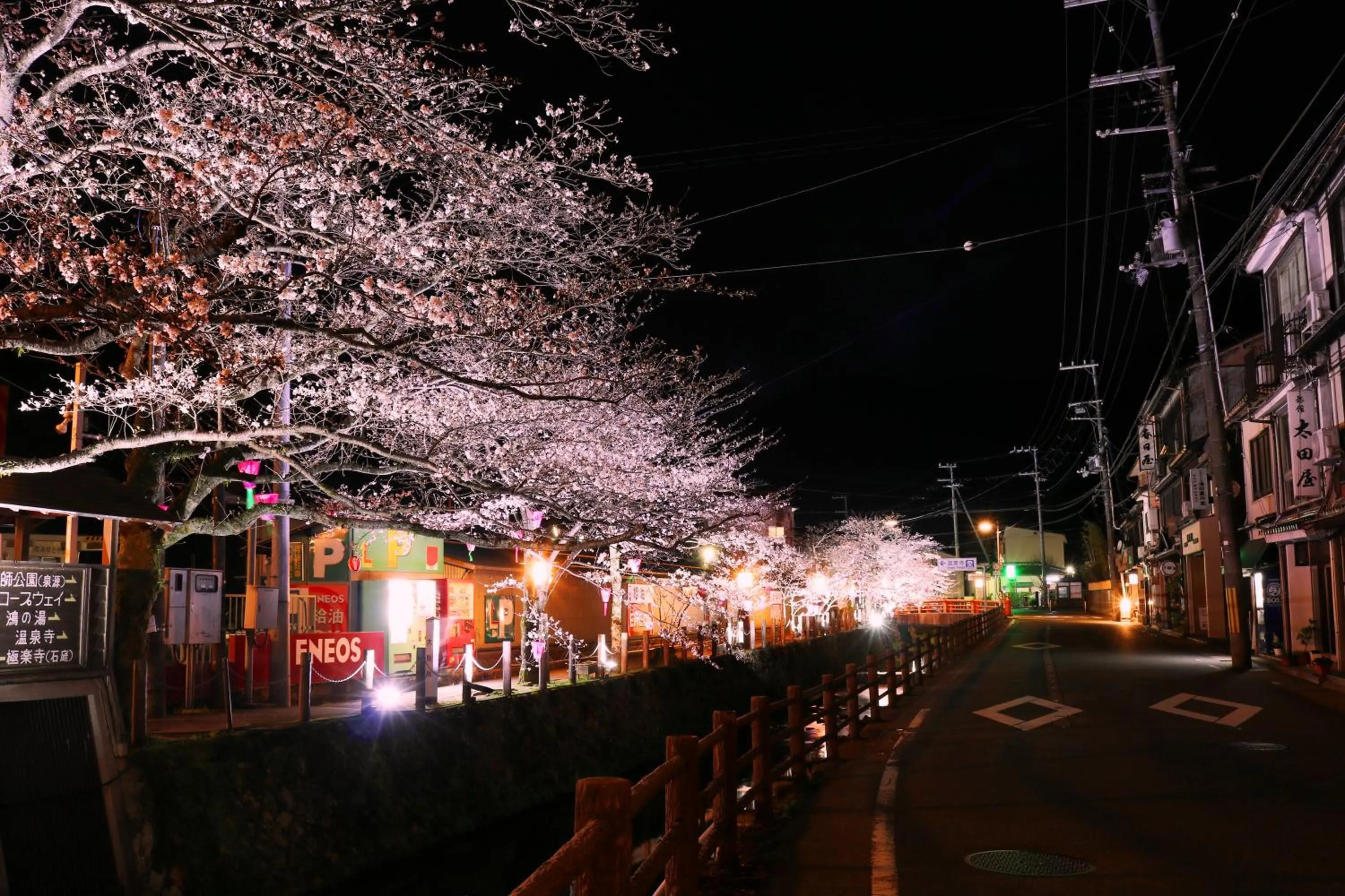 Night in Tsutaya Ryokan