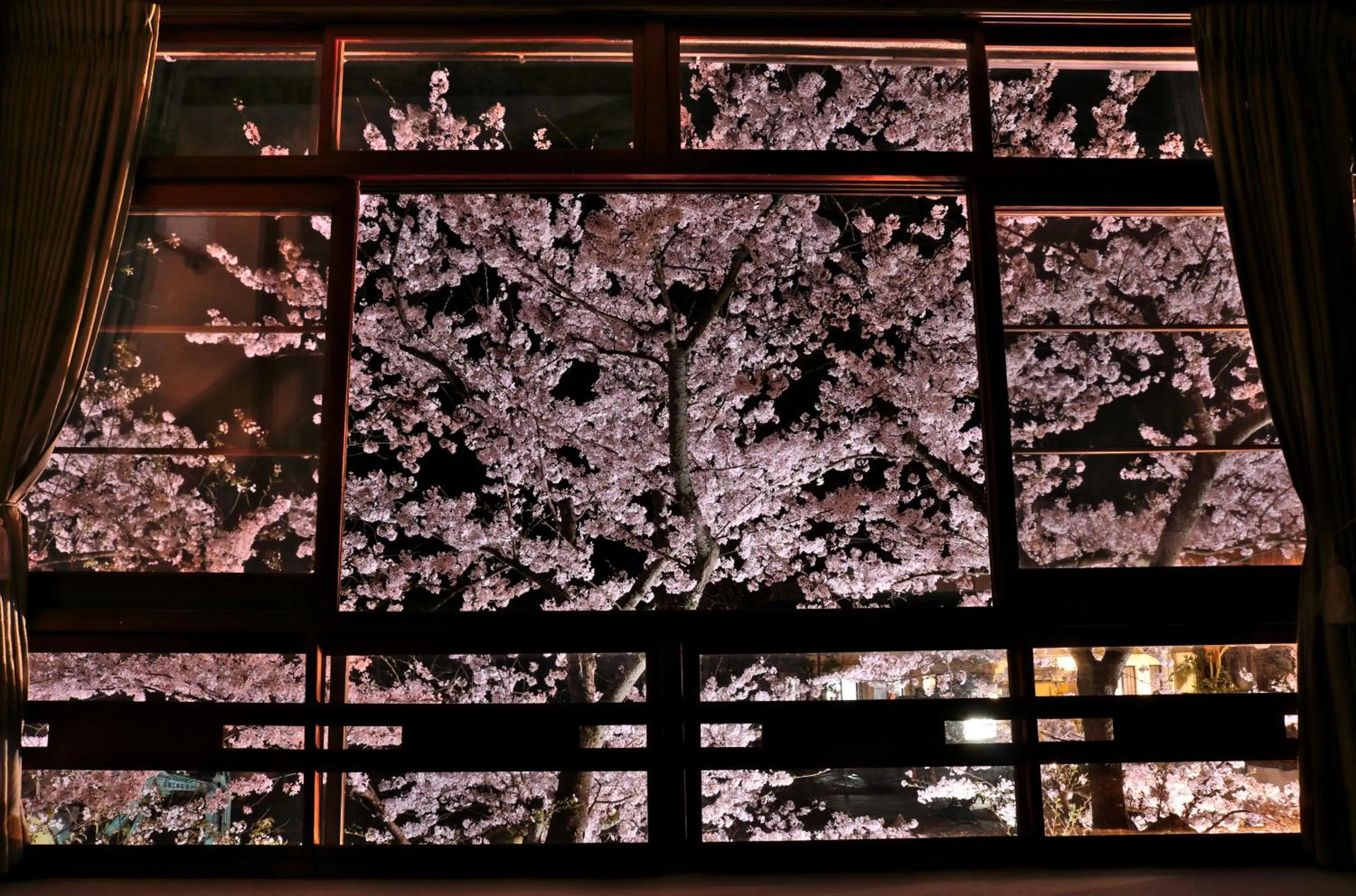 Photo of the whole room in Tsutaya Ryokan