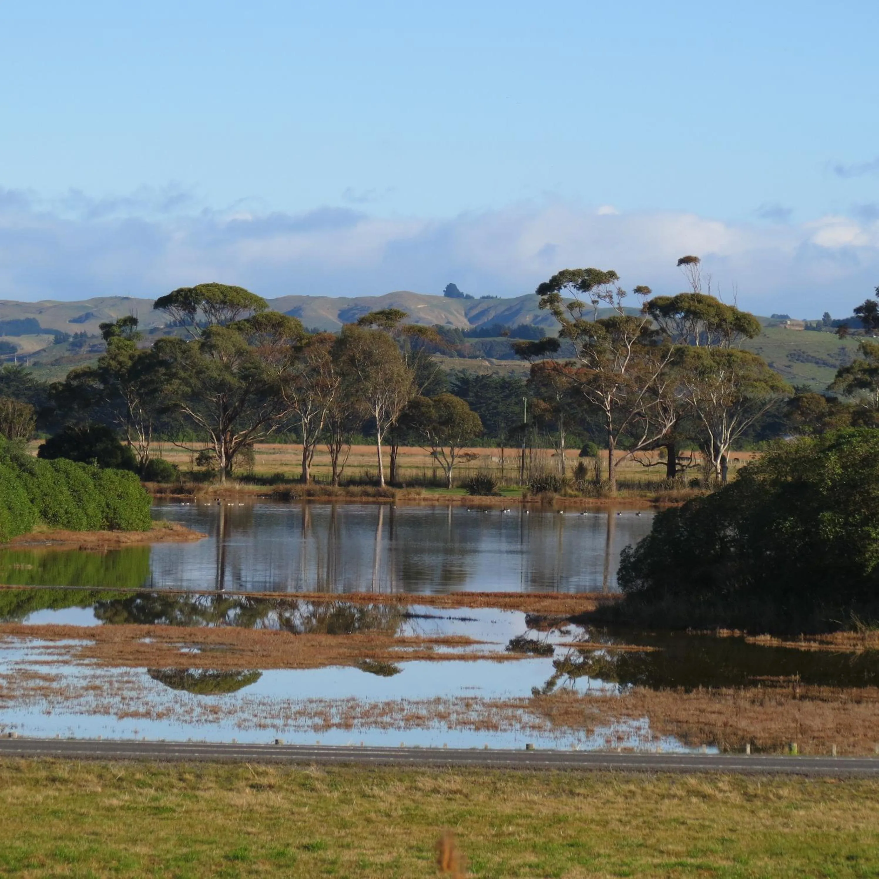 View (from property/room) in Fairley Motor Lodge