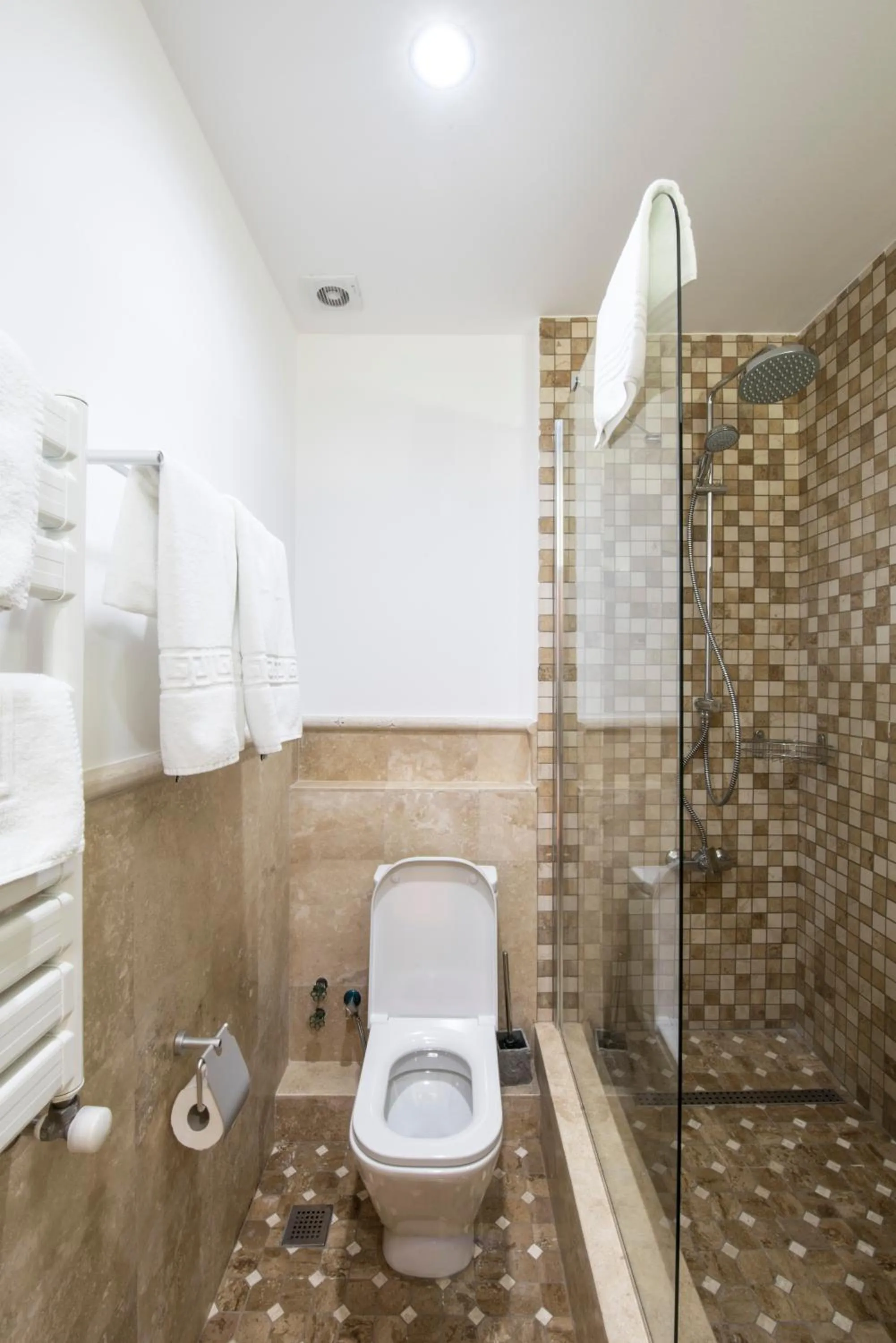 Toilet in Hotel Kopala