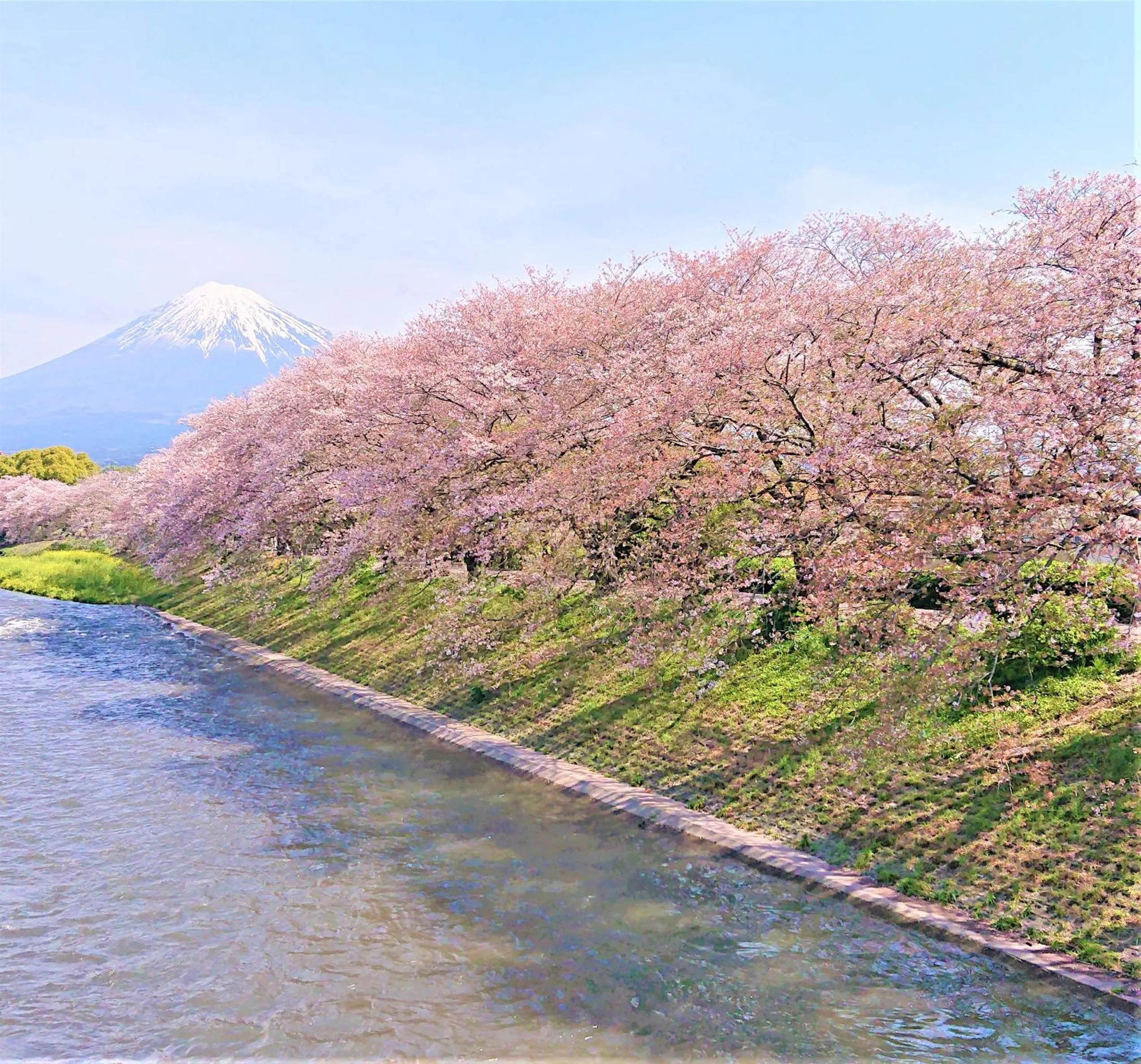 Nearby landmark in Hotel Associa Shizuoka