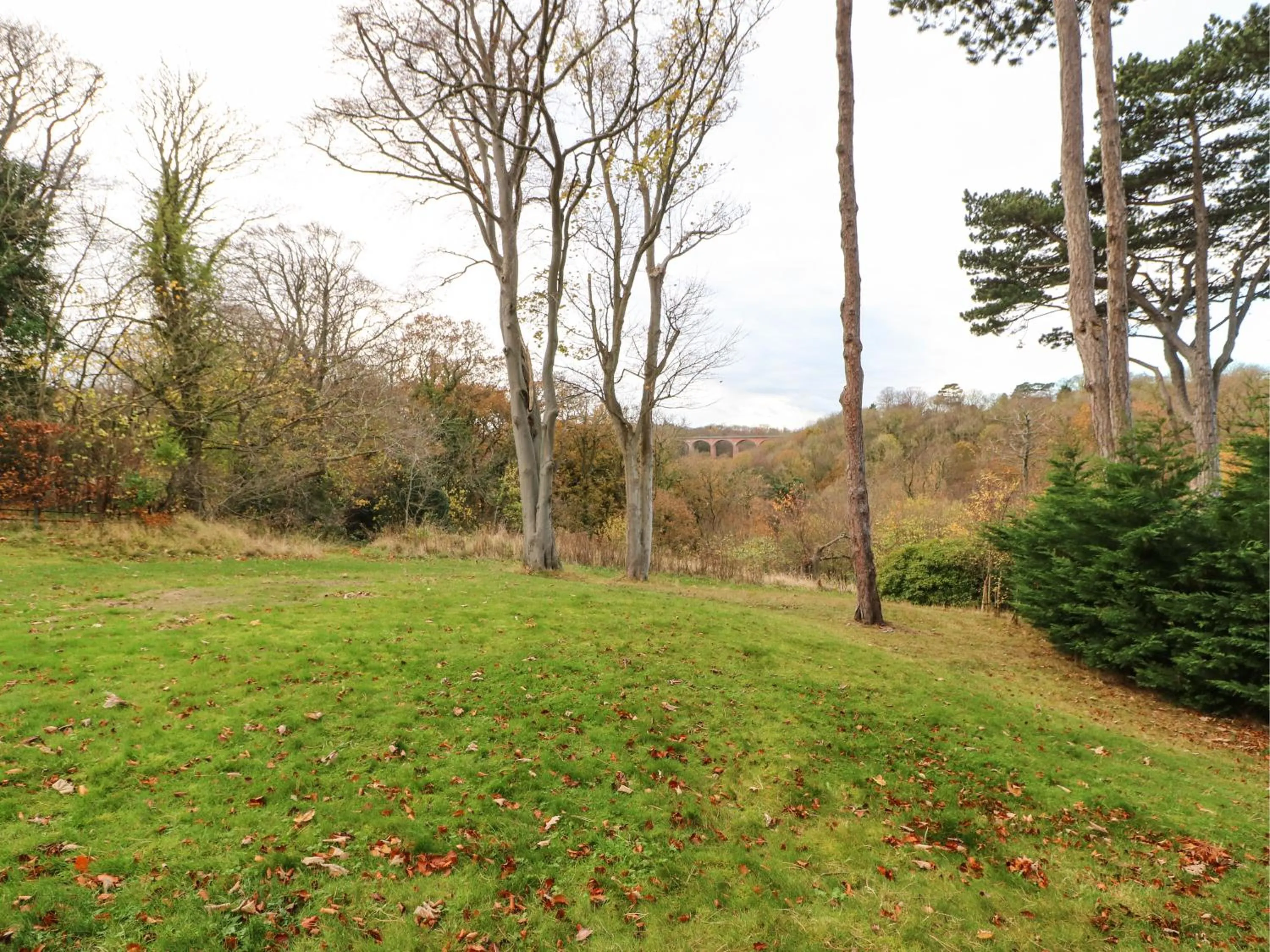 Primrose Lodge