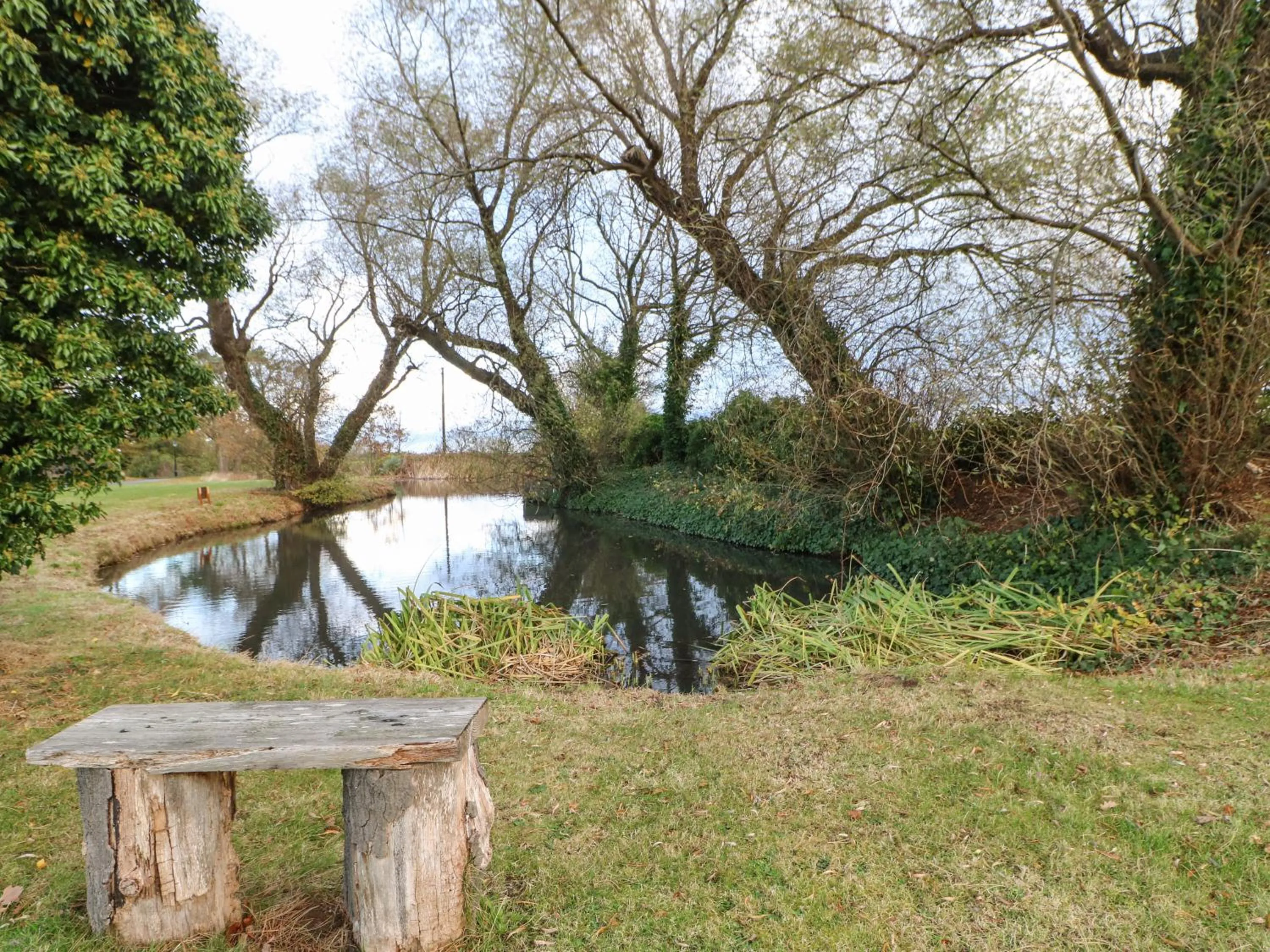 Primrose Lodge