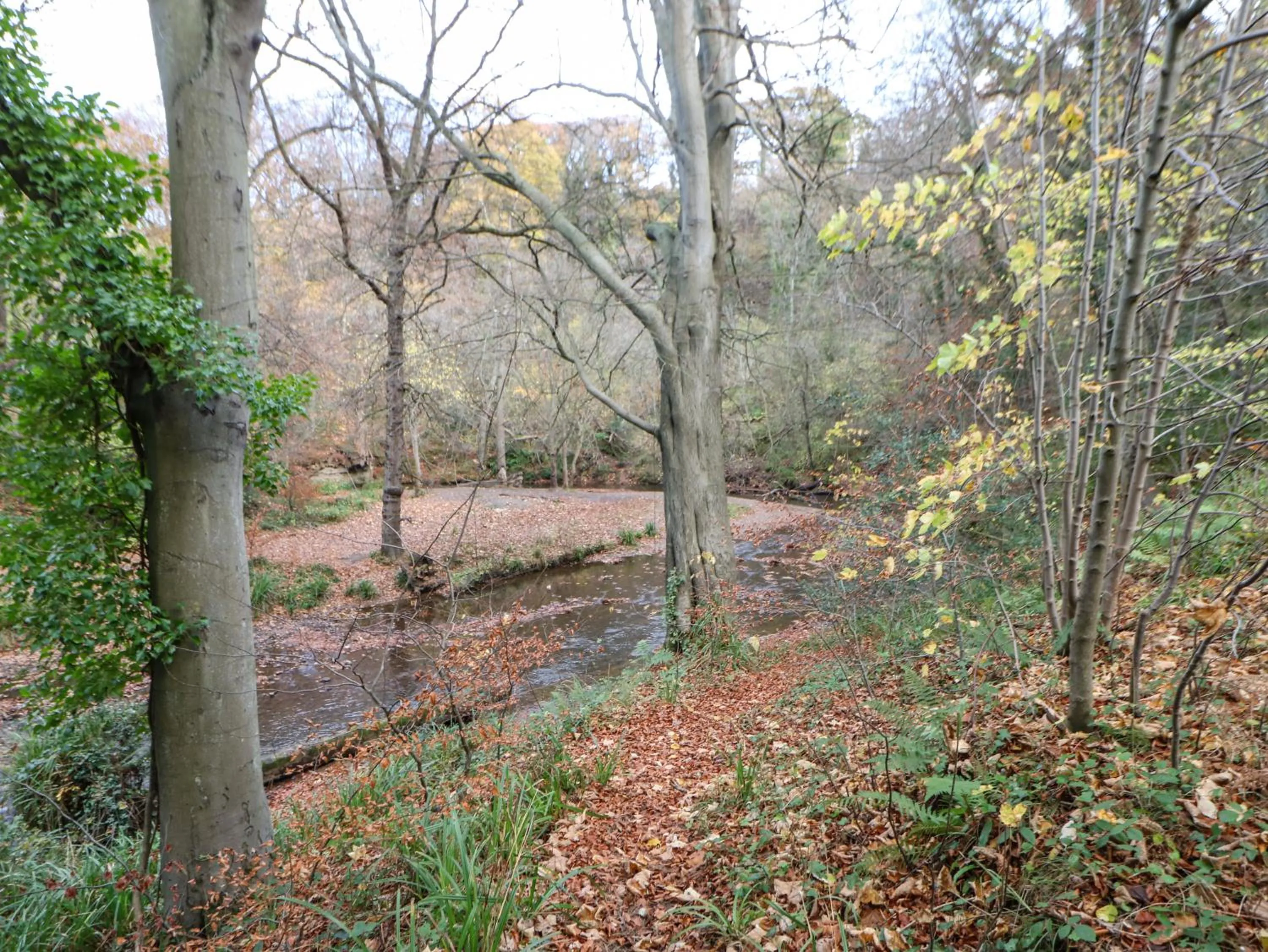 Primrose Lodge