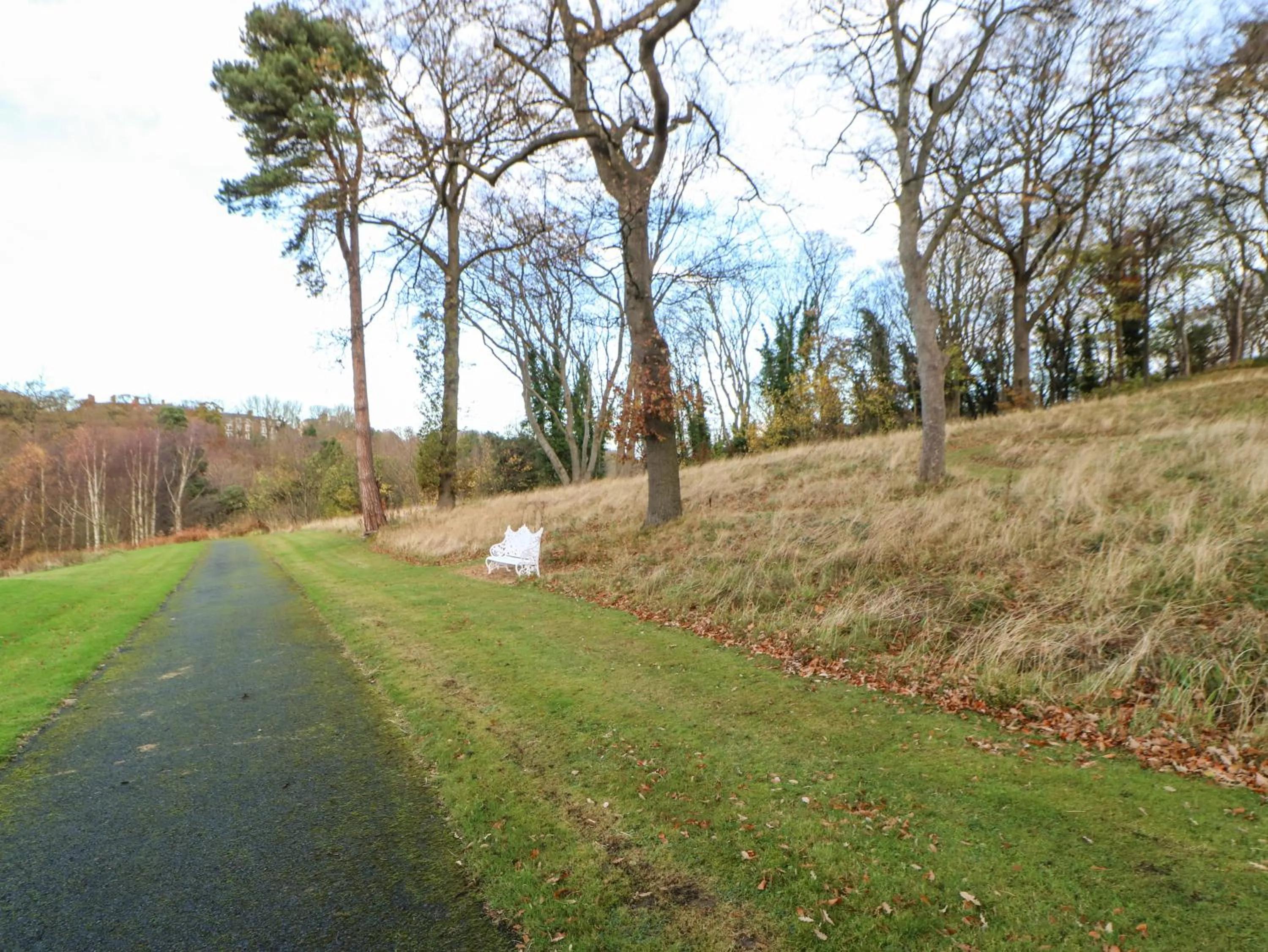 Primrose Lodge