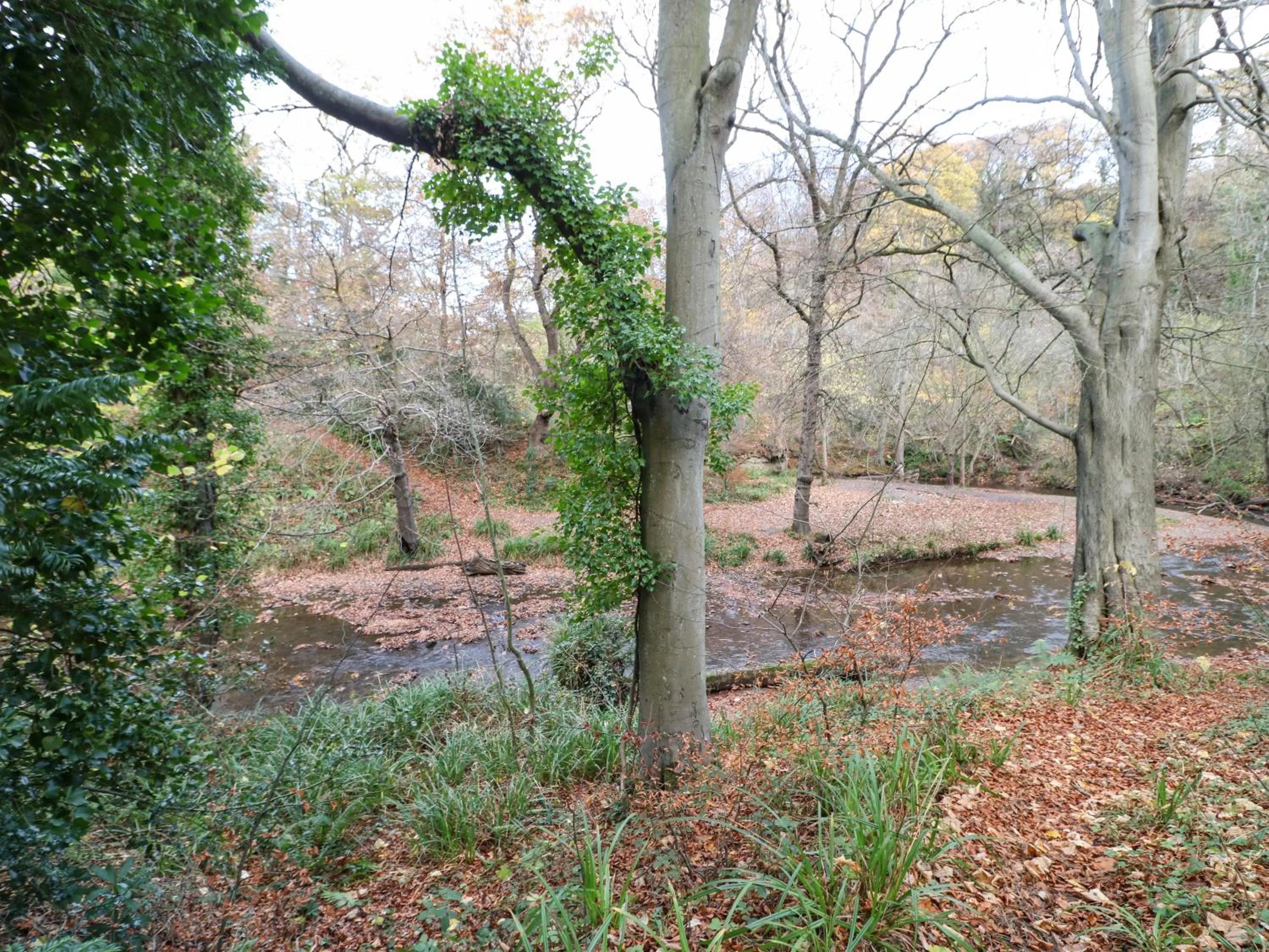 Primrose Lodge