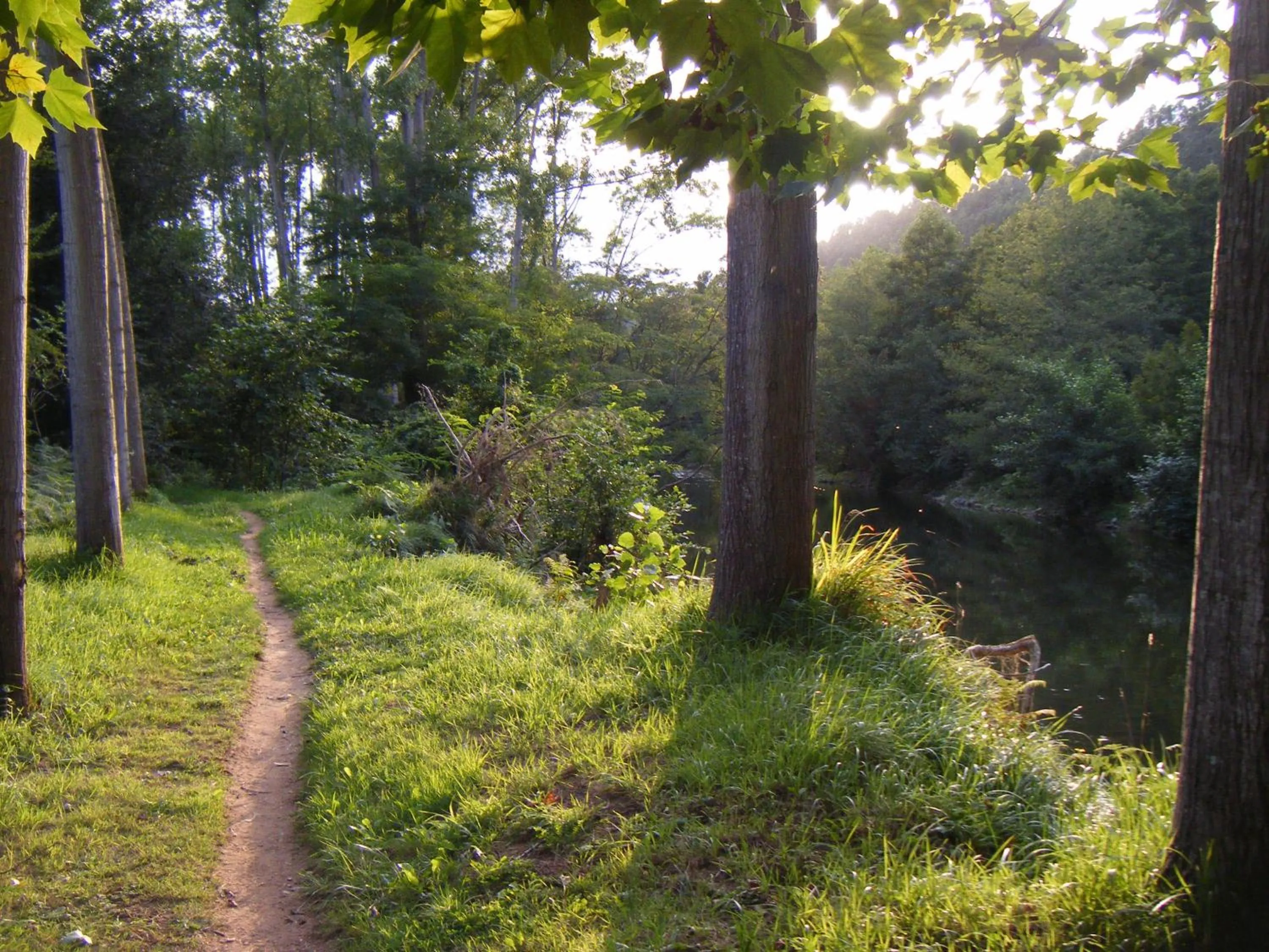 Natural landscape in Hotel Valle de Cabezón