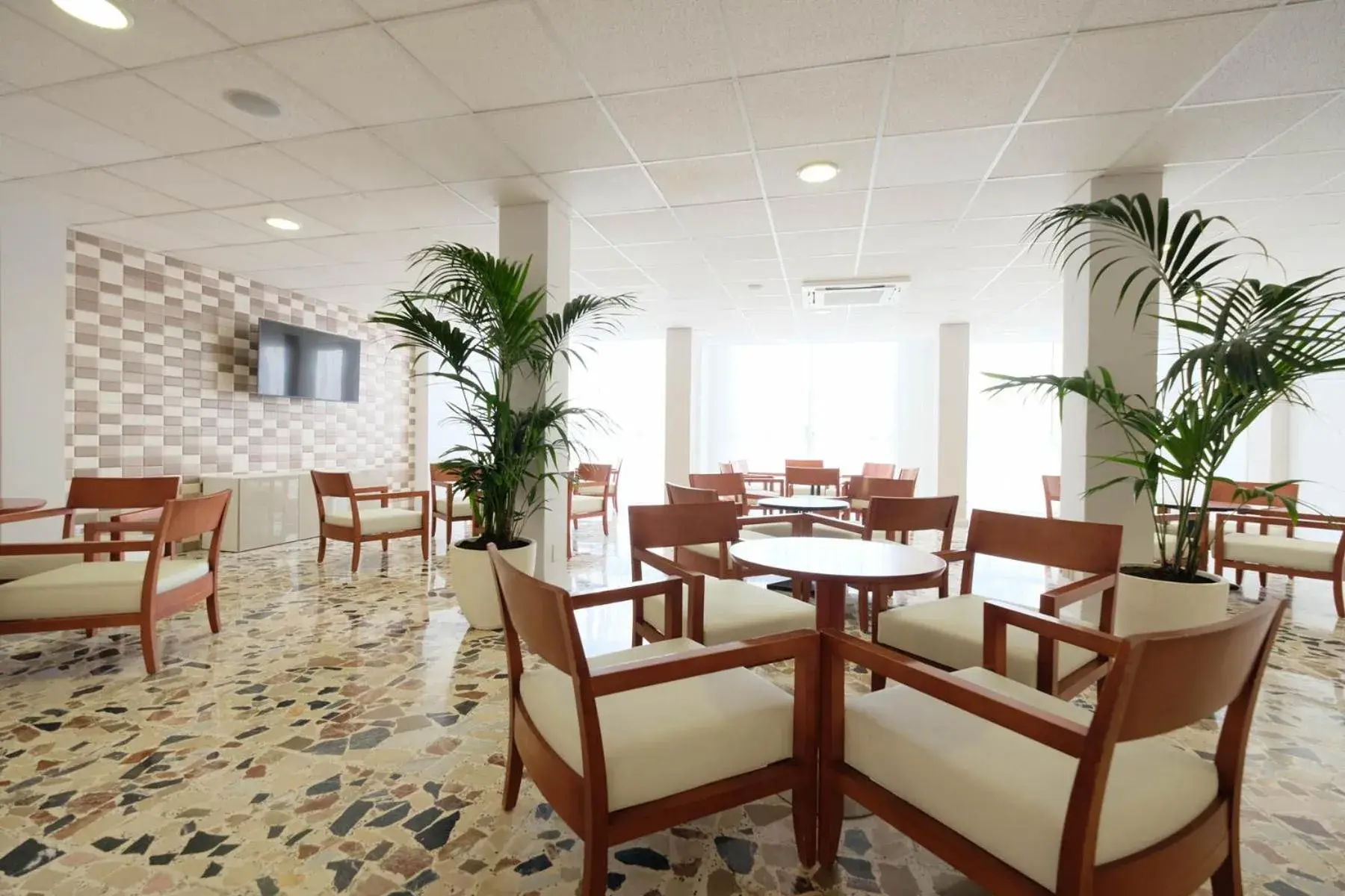 Living room in azuLine Hotel Palmanova Garden Living room in azuLine Hotel Palmanova Garden