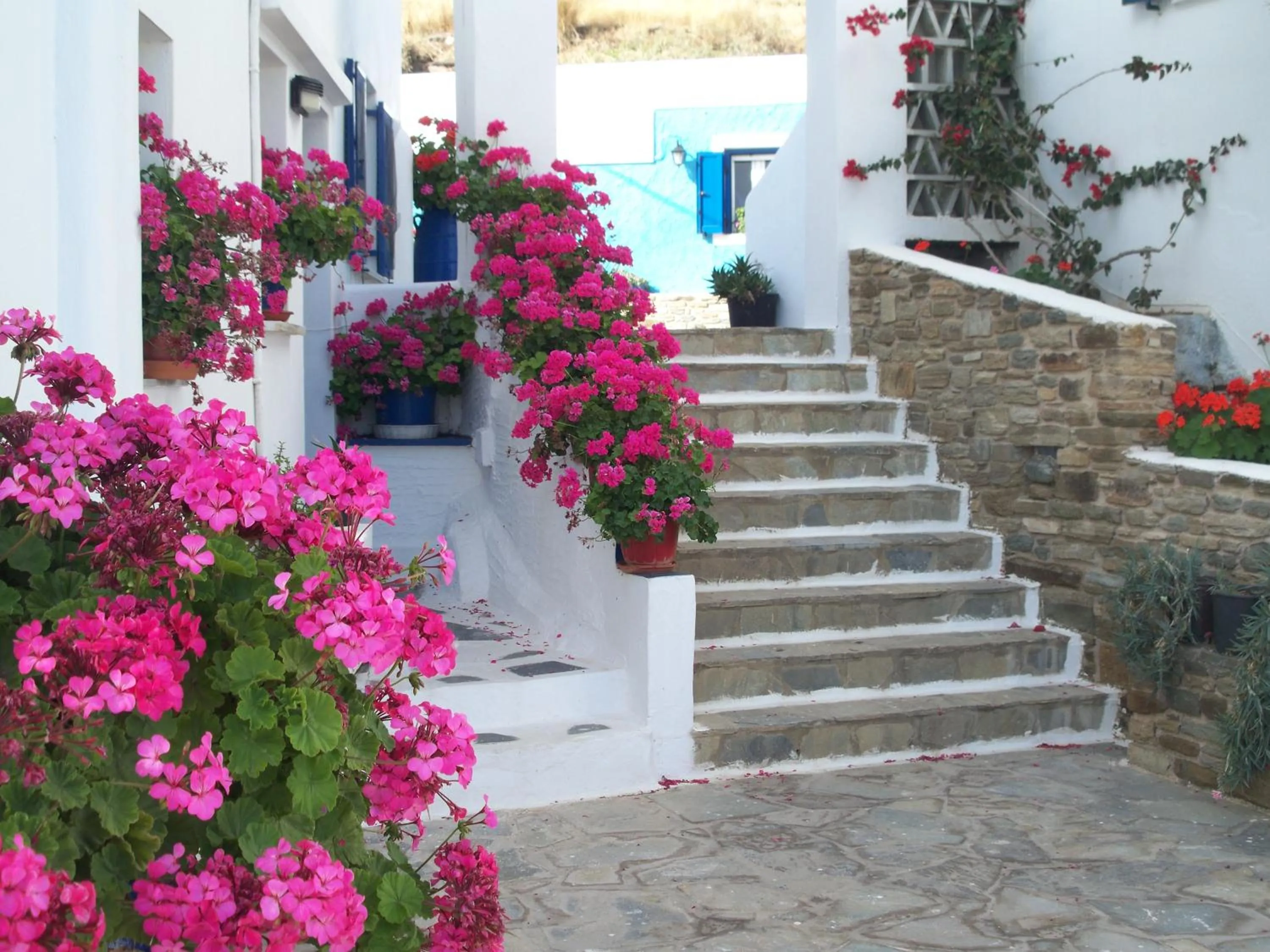 Garden in Kionia Galini Bangalows