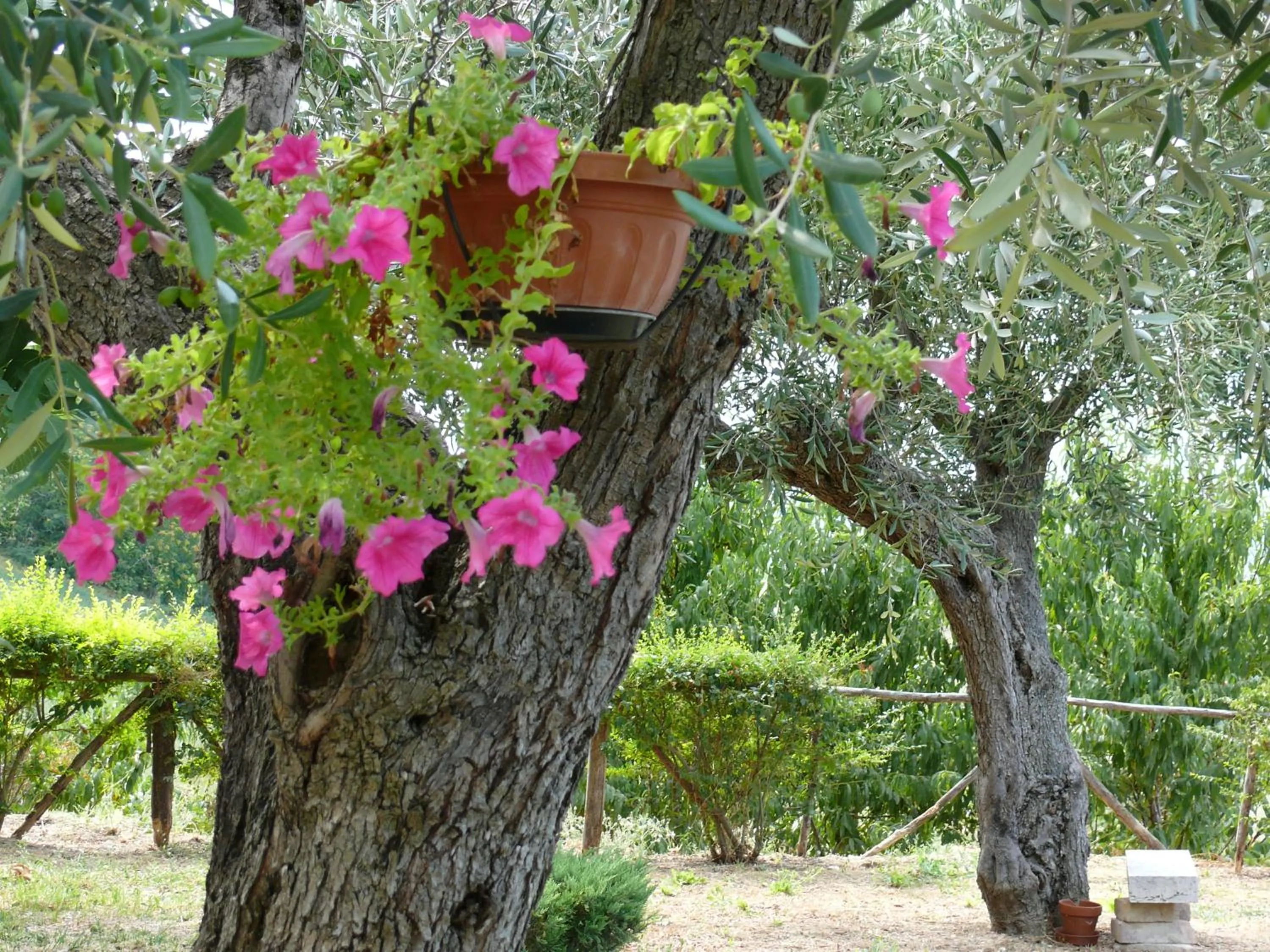 Bed&Breakfast Giardino Agritourist