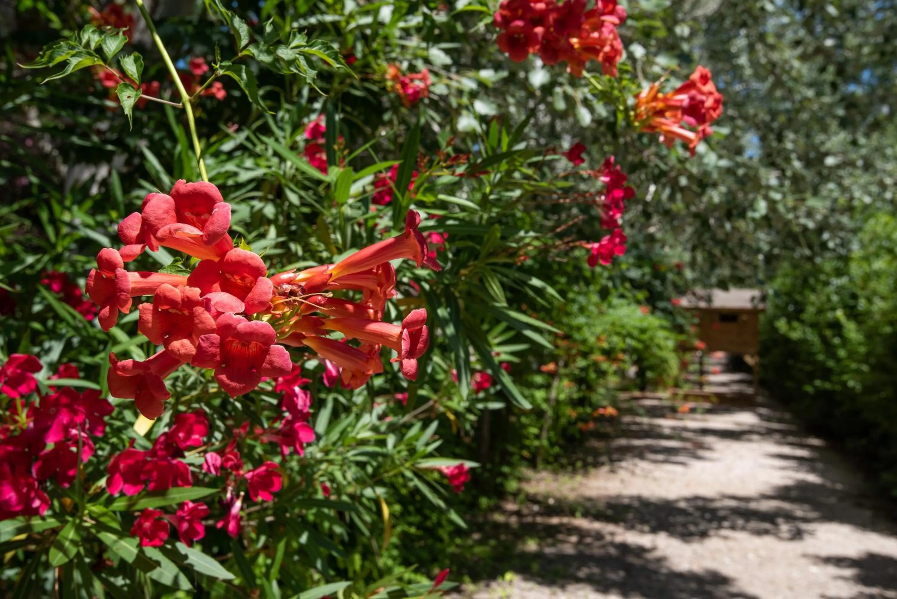 Garden in Ghiacci Vecchi Residence
