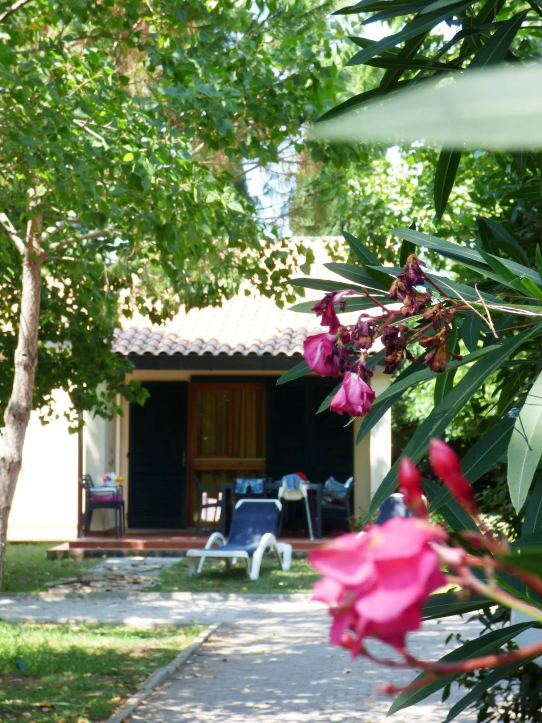Facade/entrance in Ghiacci Vecchi Residence