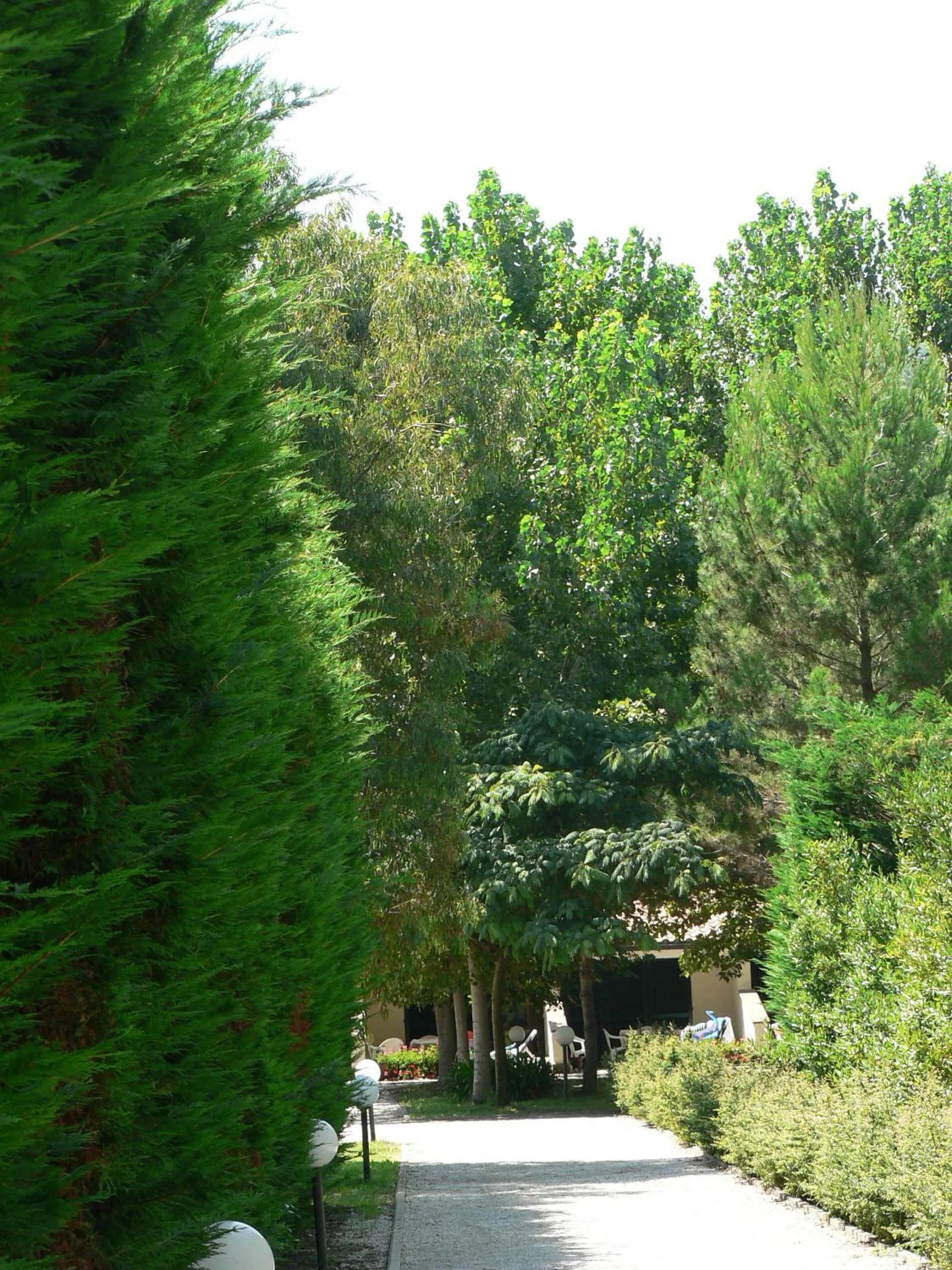 Garden in Ghiacci Vecchi Residence