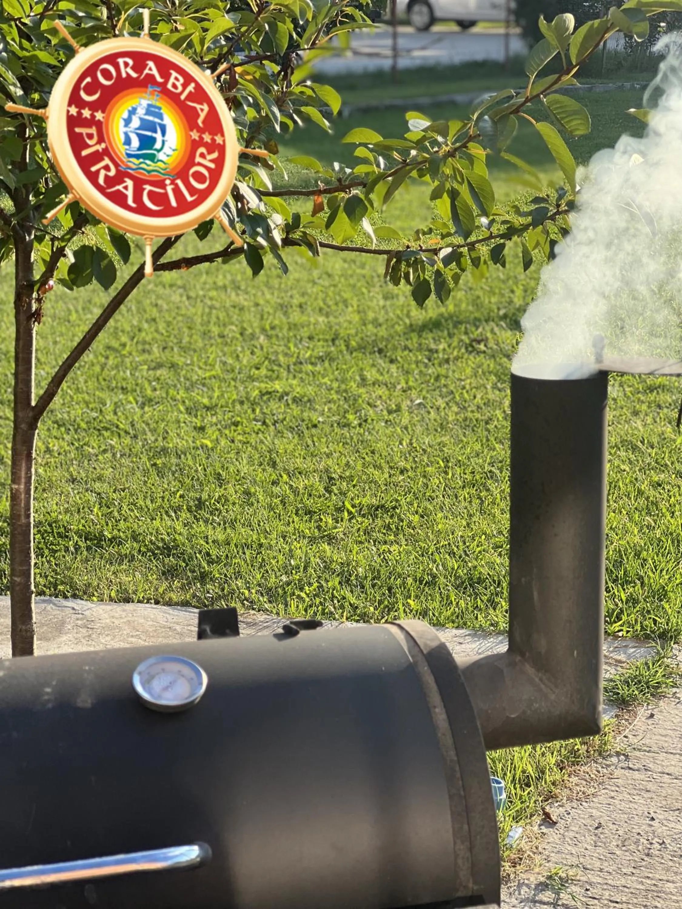 BBQ facilities in Club de Vacanta Corabia Piratilor - Family Resort Mamaia Nord