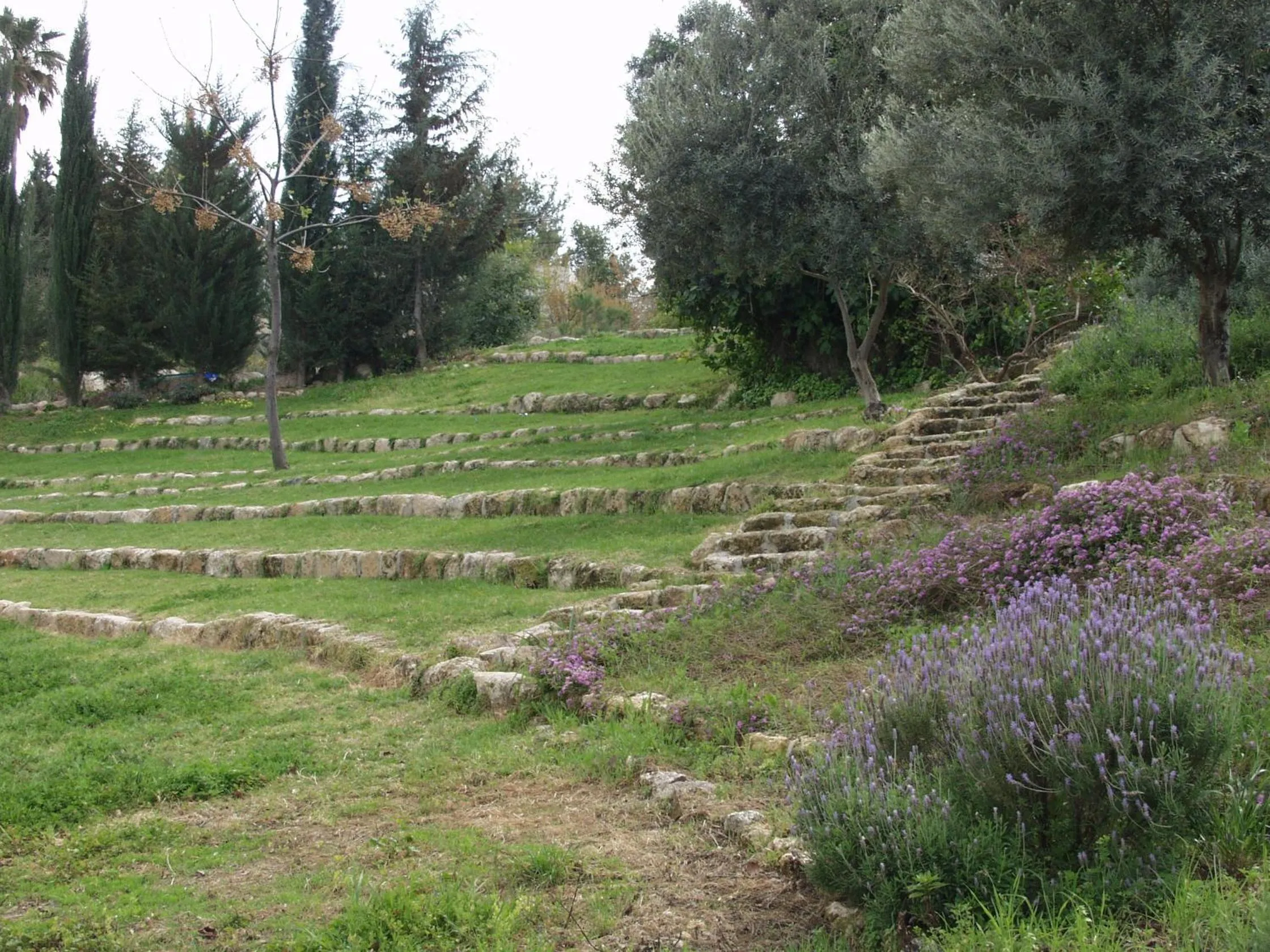 Natural landscape in Neve Shalom Hotel
