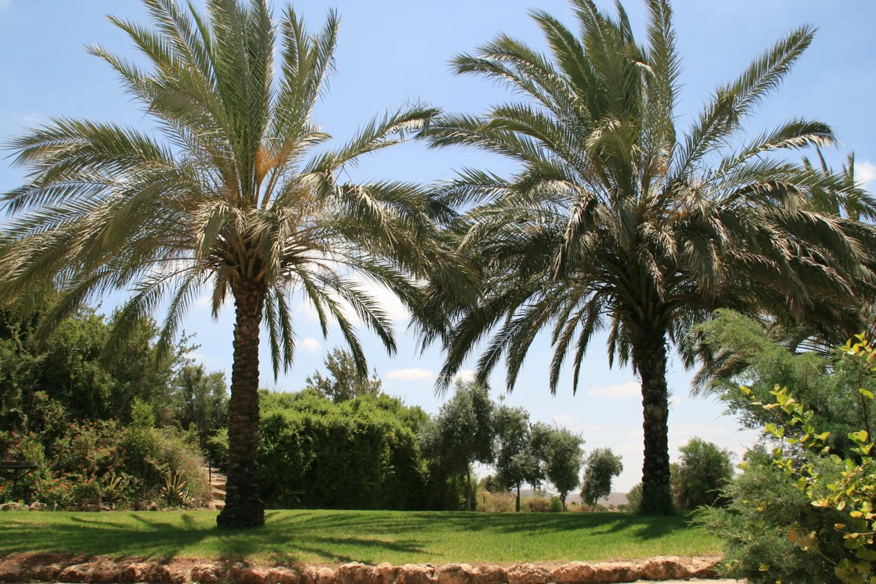 Natural landscape in Neve Shalom Hotel