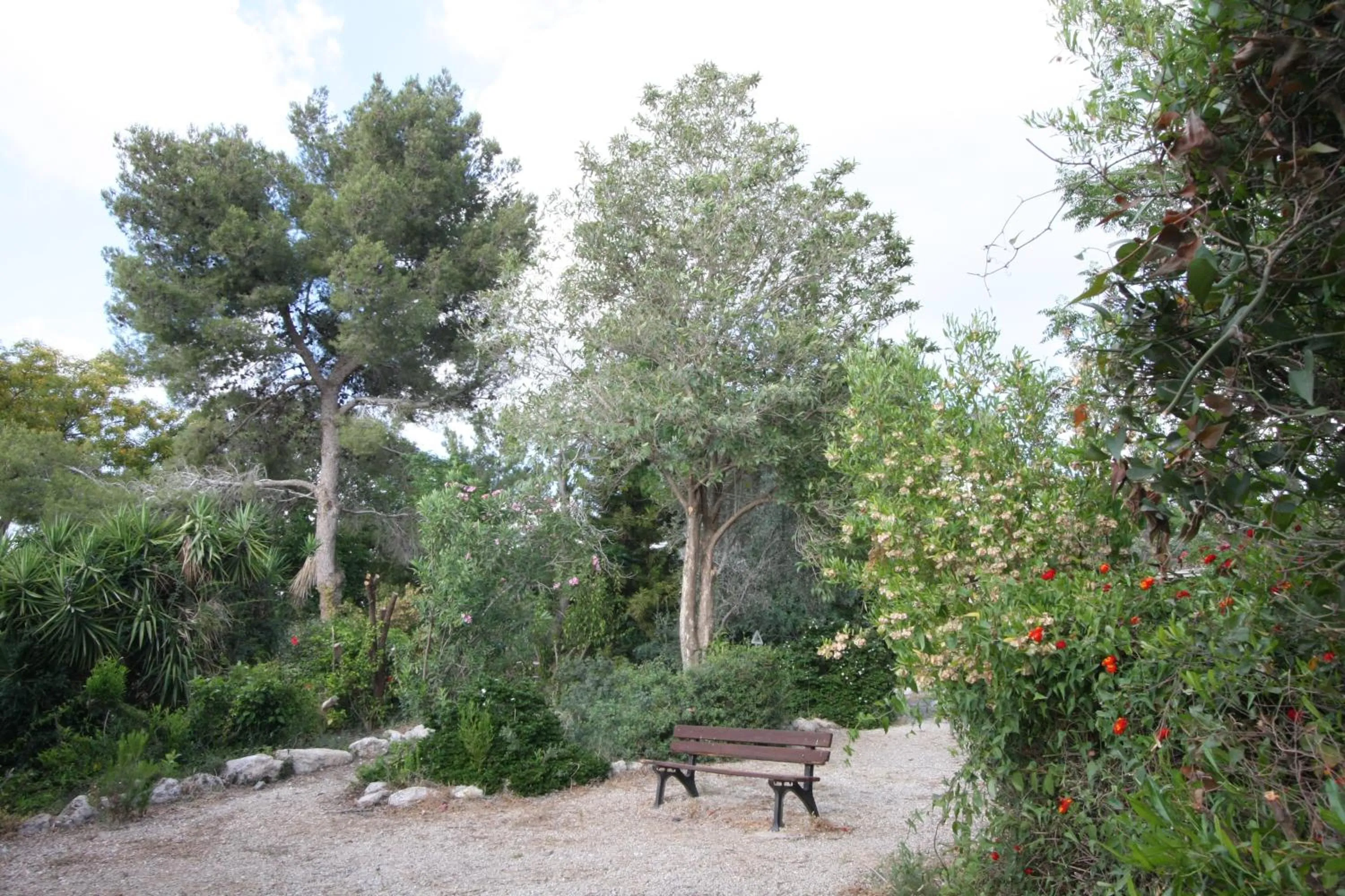 Natural landscape in Neve Shalom Hotel