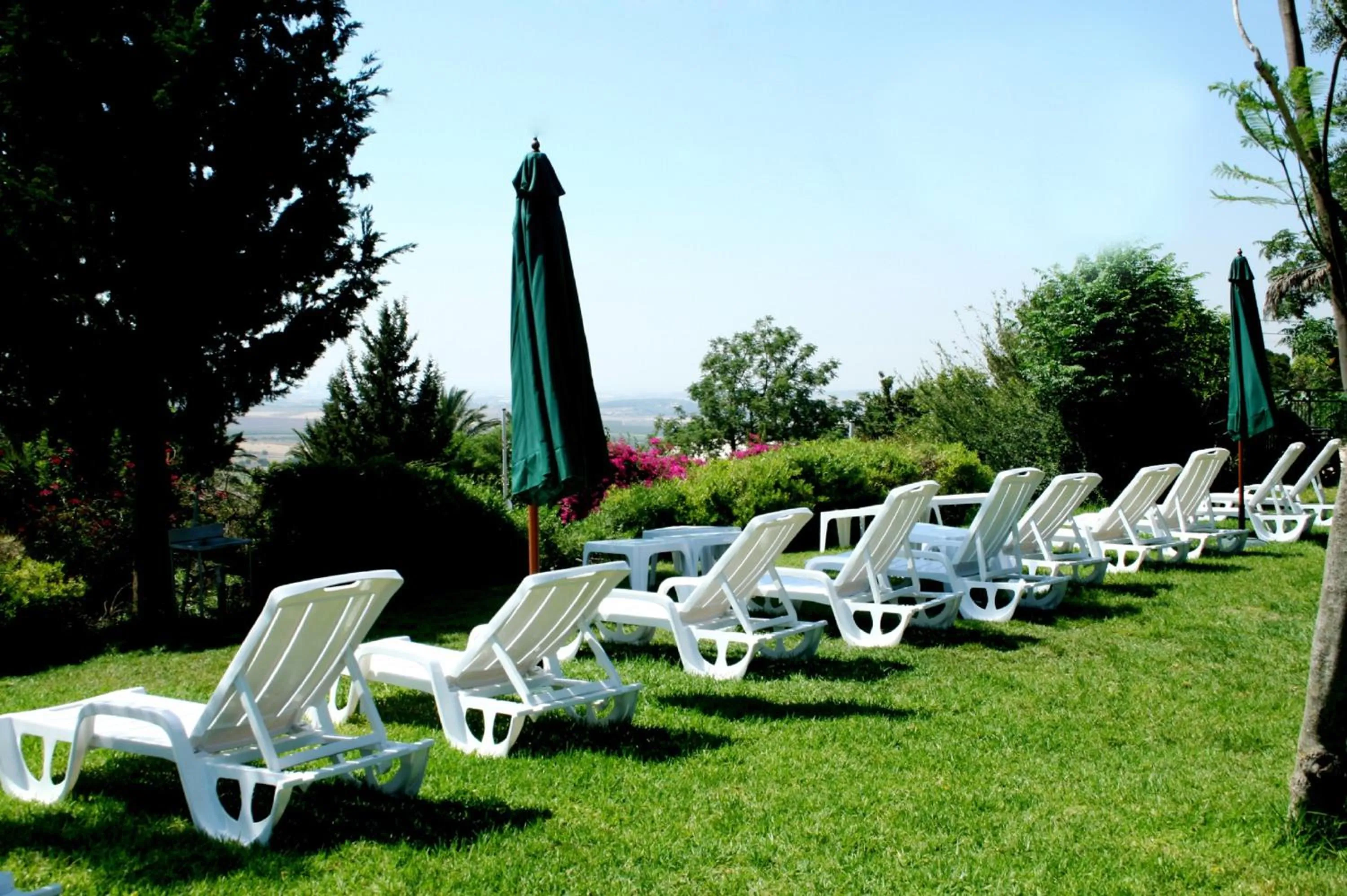 Natural landscape in Neve Shalom Hotel