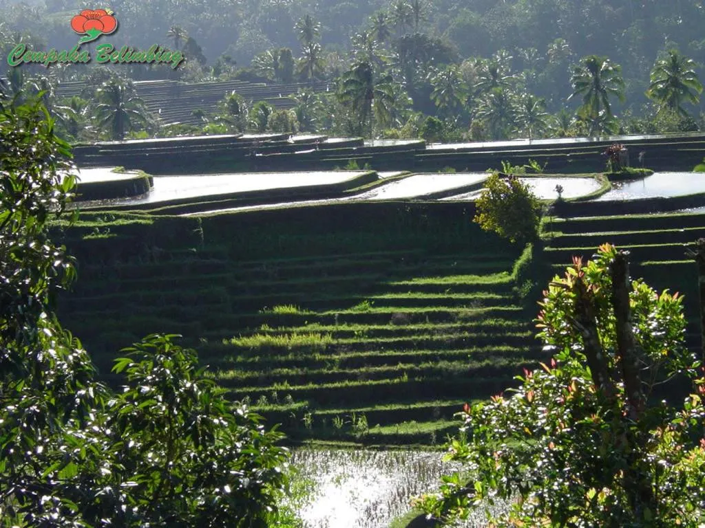 Day in Cempaka Belimbing Villa