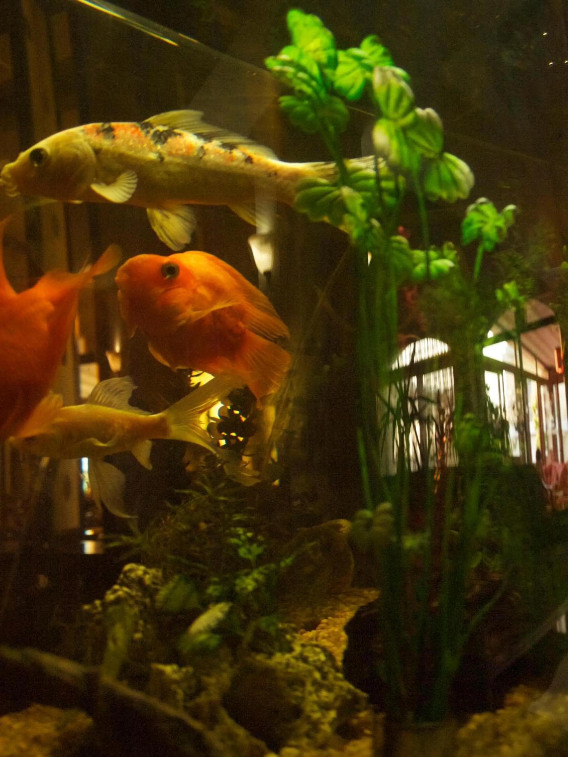 Decorative detail in Fanari Hotel