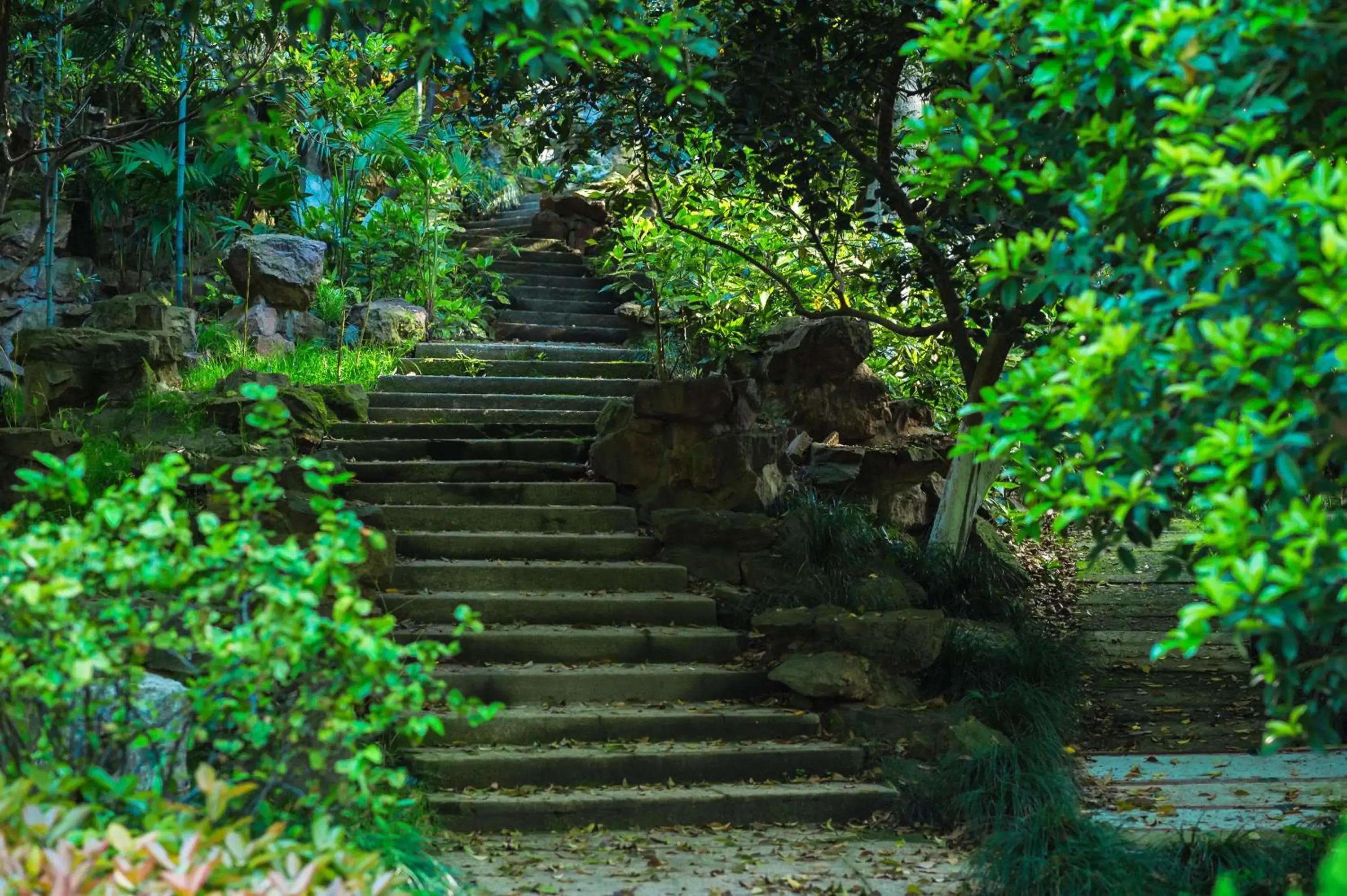 Mountain view in Shangri-La Hangzhou - The back garden of West Lake Mountain view in Shangri-La Hangzhou - The back garden of West Lake