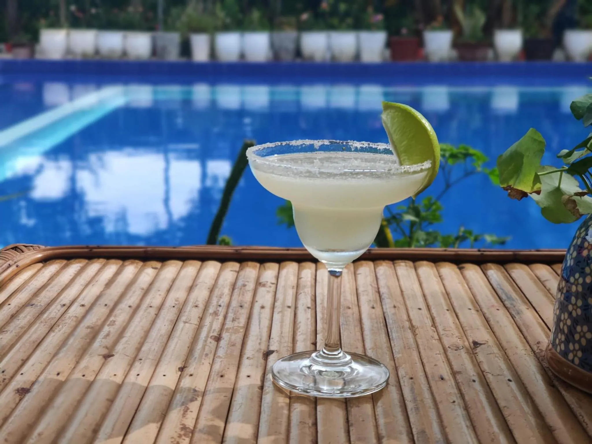 Drinks in Sanssouci Kep