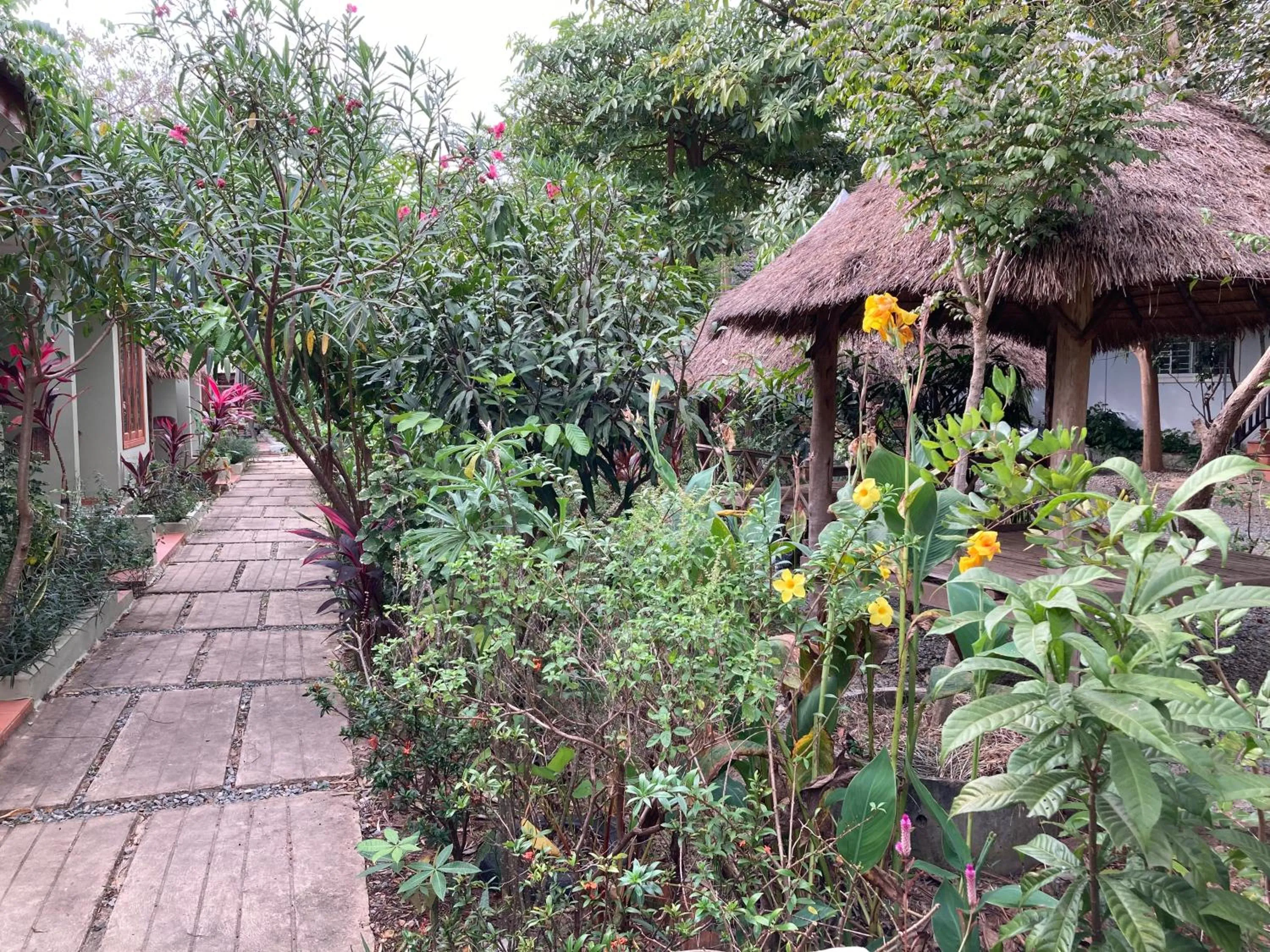 Garden in Sanssouci Kep