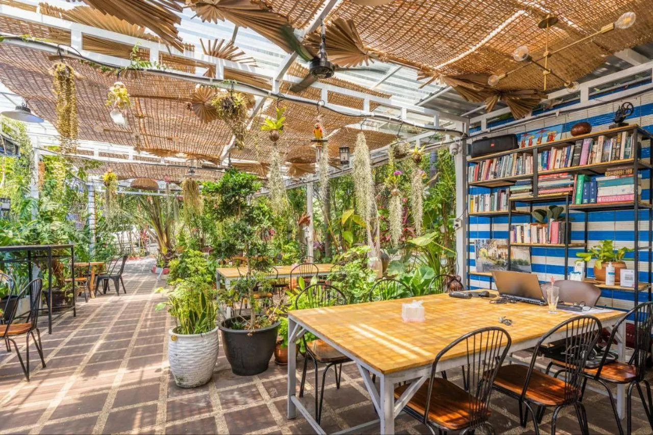 Library in Sanssouci Kep