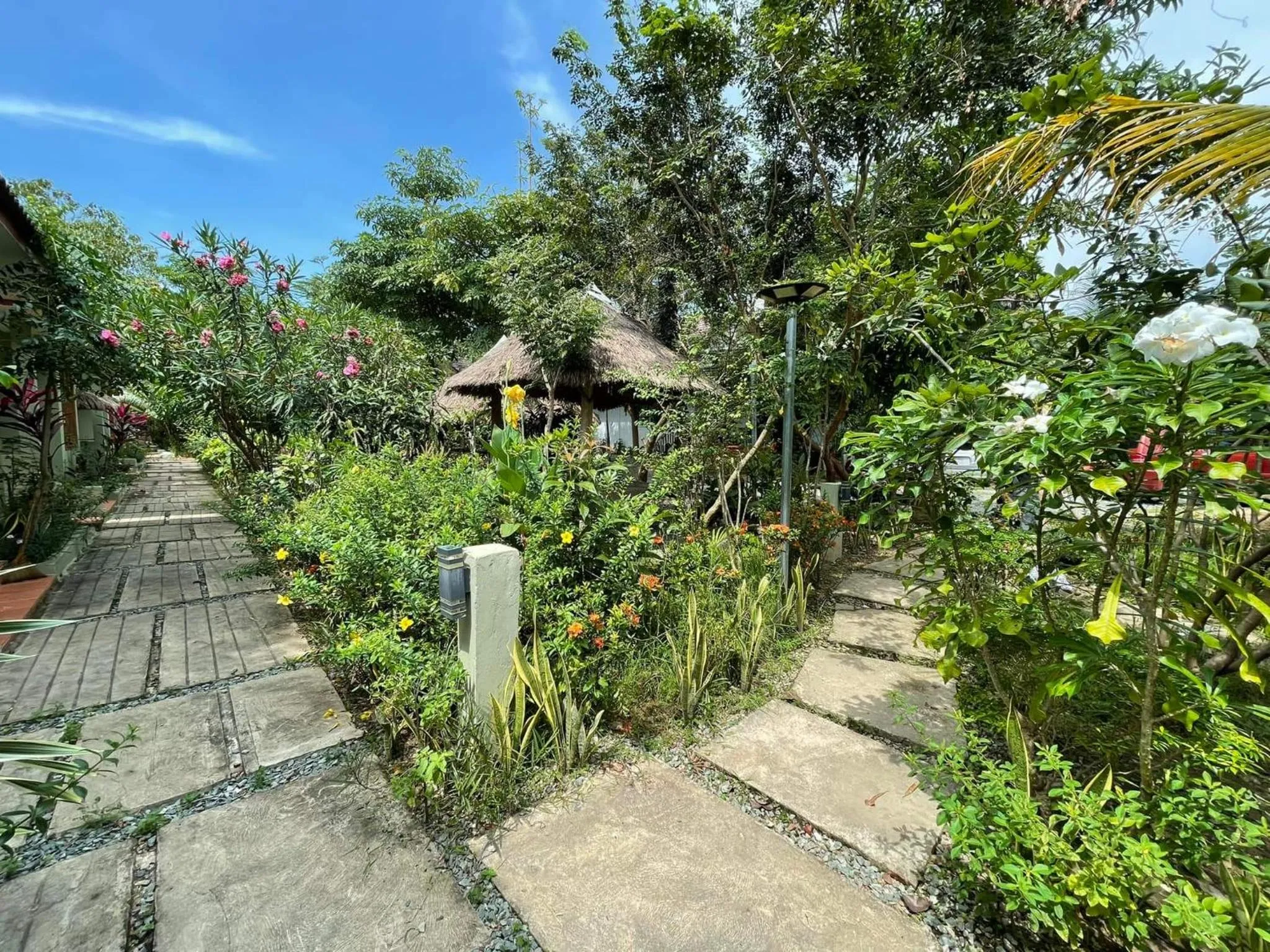 Garden view in Sanssouci Kep