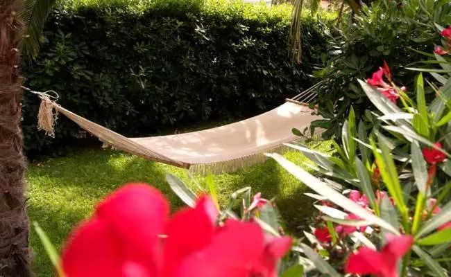 Garden in Hotel Anna