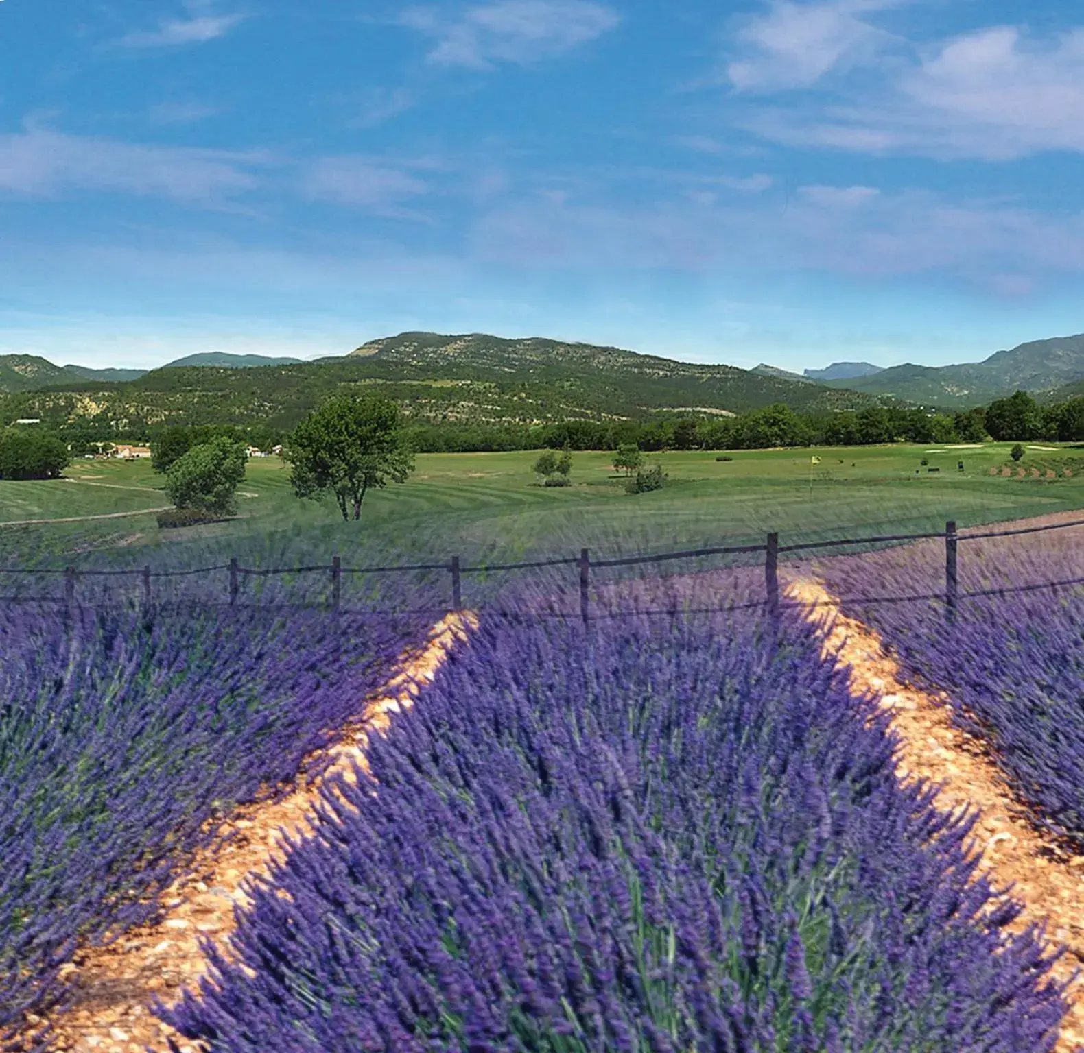 Garden view in Golf Resort de Digne-les-bains by Adonis Garden view in Golf Resort de Digne-les-bains by Adonis