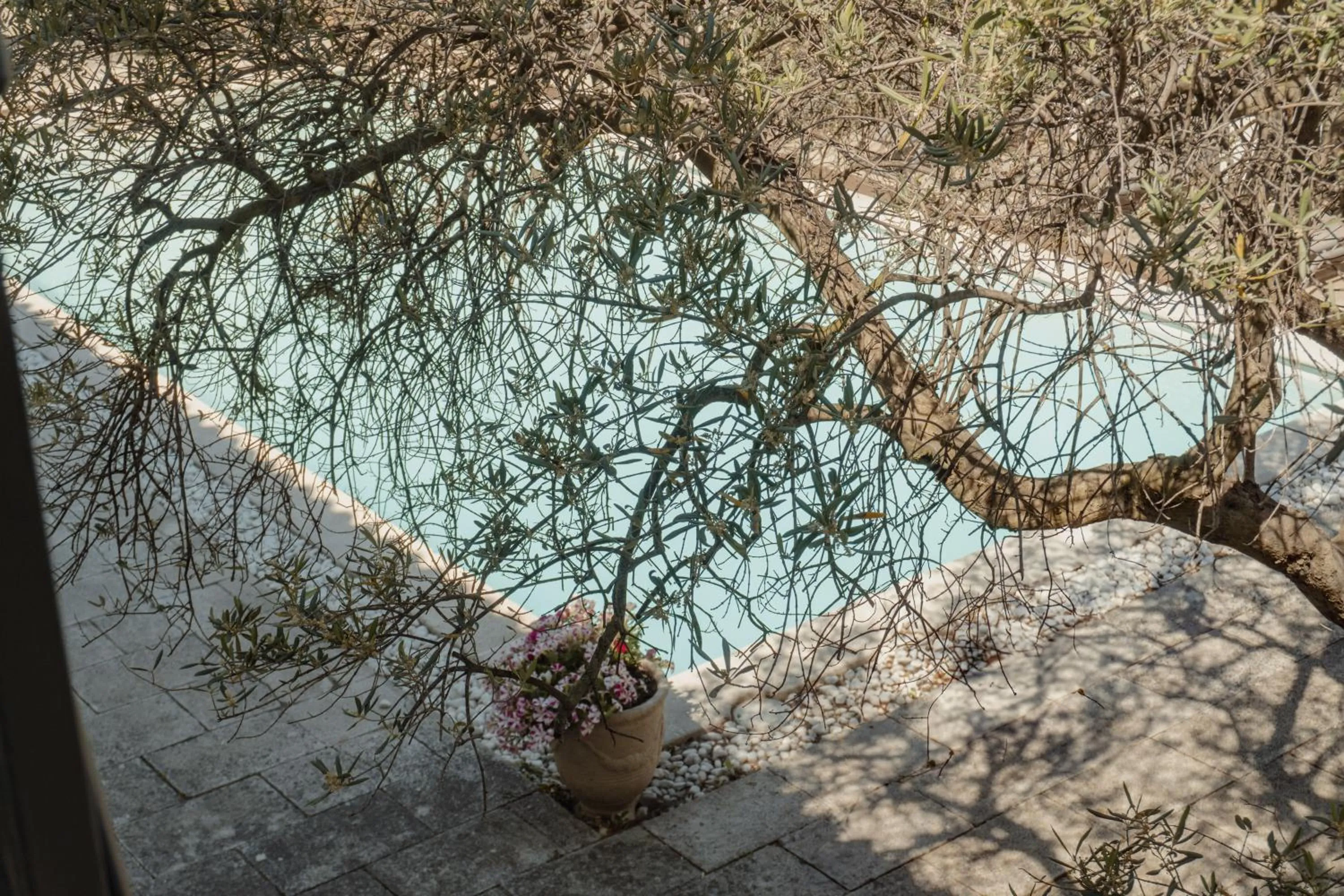 Hôtel Les Magnanarelles