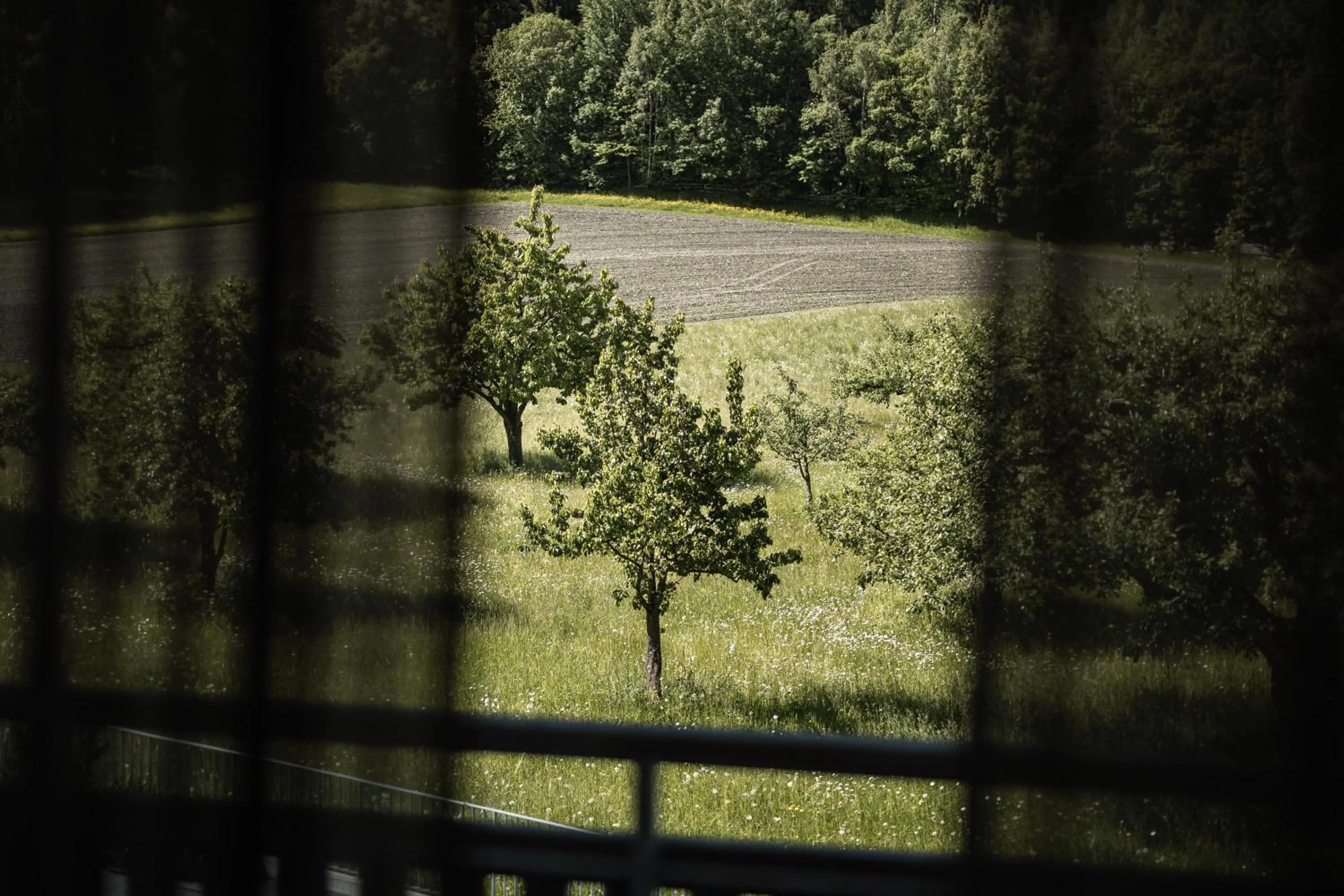 View (from property/room) in Hotel Petrus