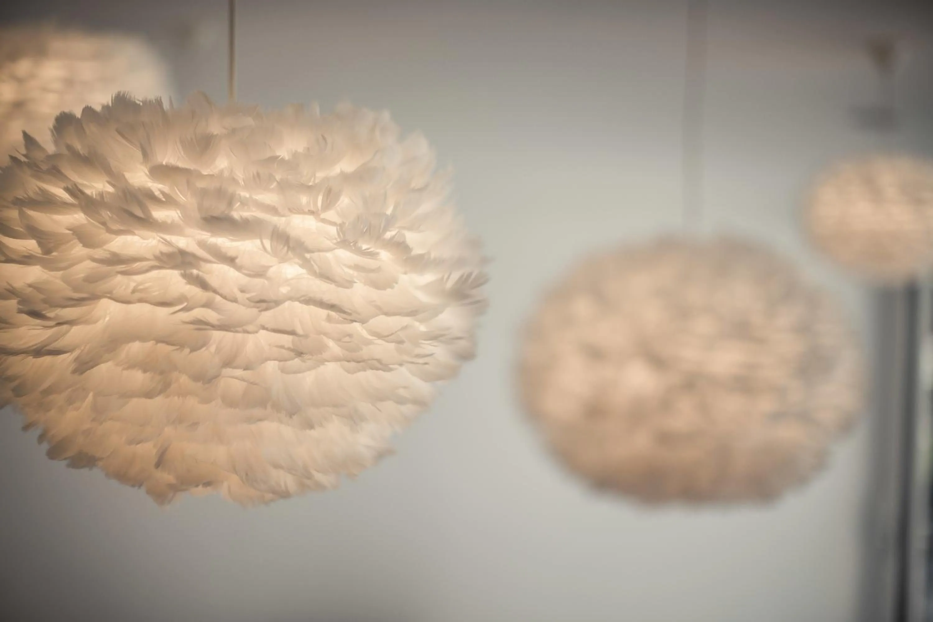 Decorative detail in Hotel Petrus