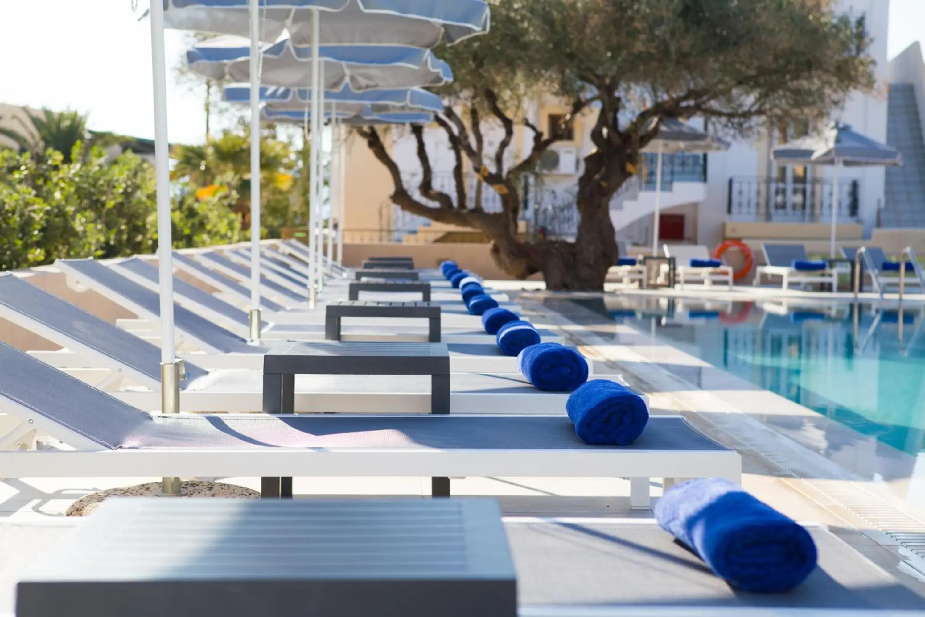 Swimming pool in Sundance Apartments & Suites Swimming pool in Sundance Apartments & Suites