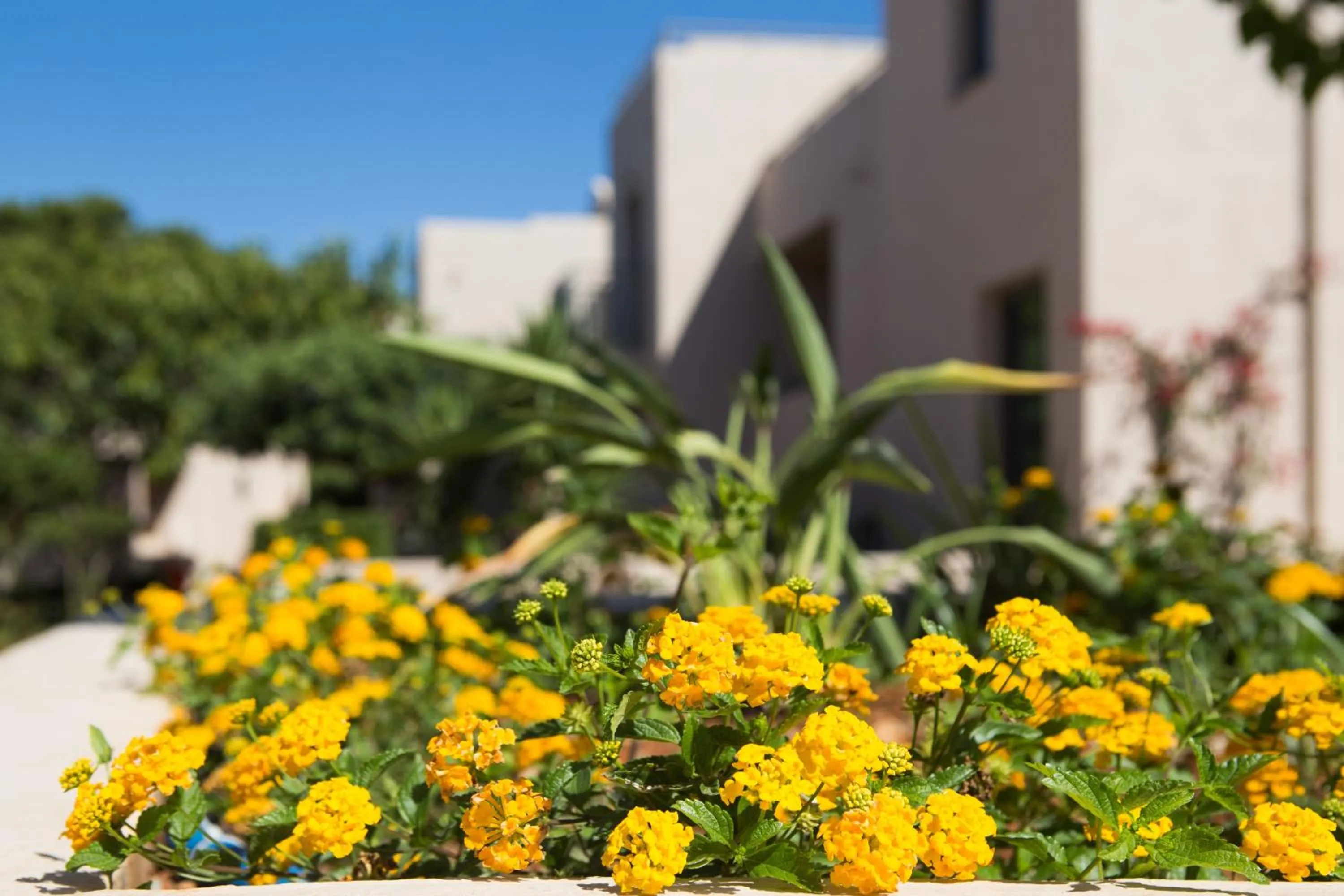 Garden in Sundance Apartments & Suites