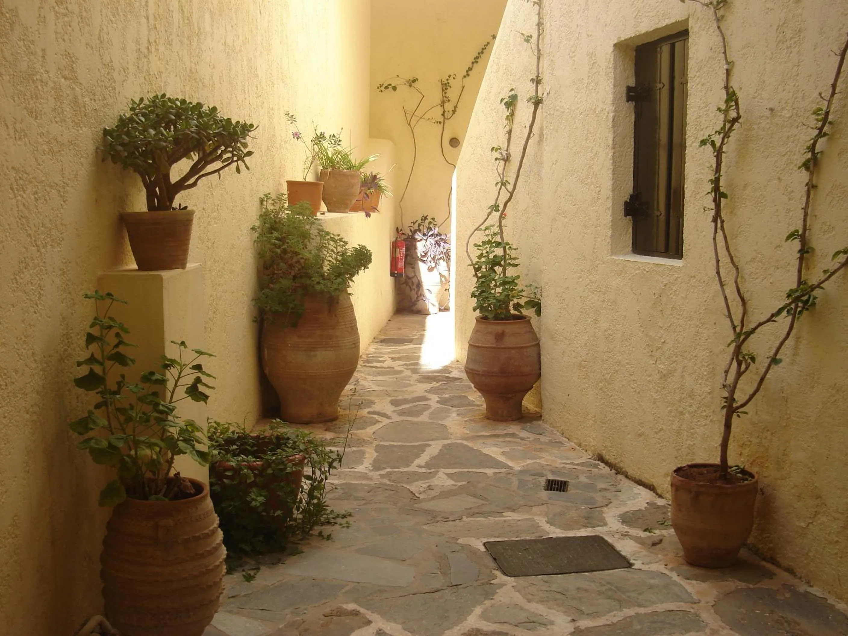 Patio in Sundance Apartments & Suites
