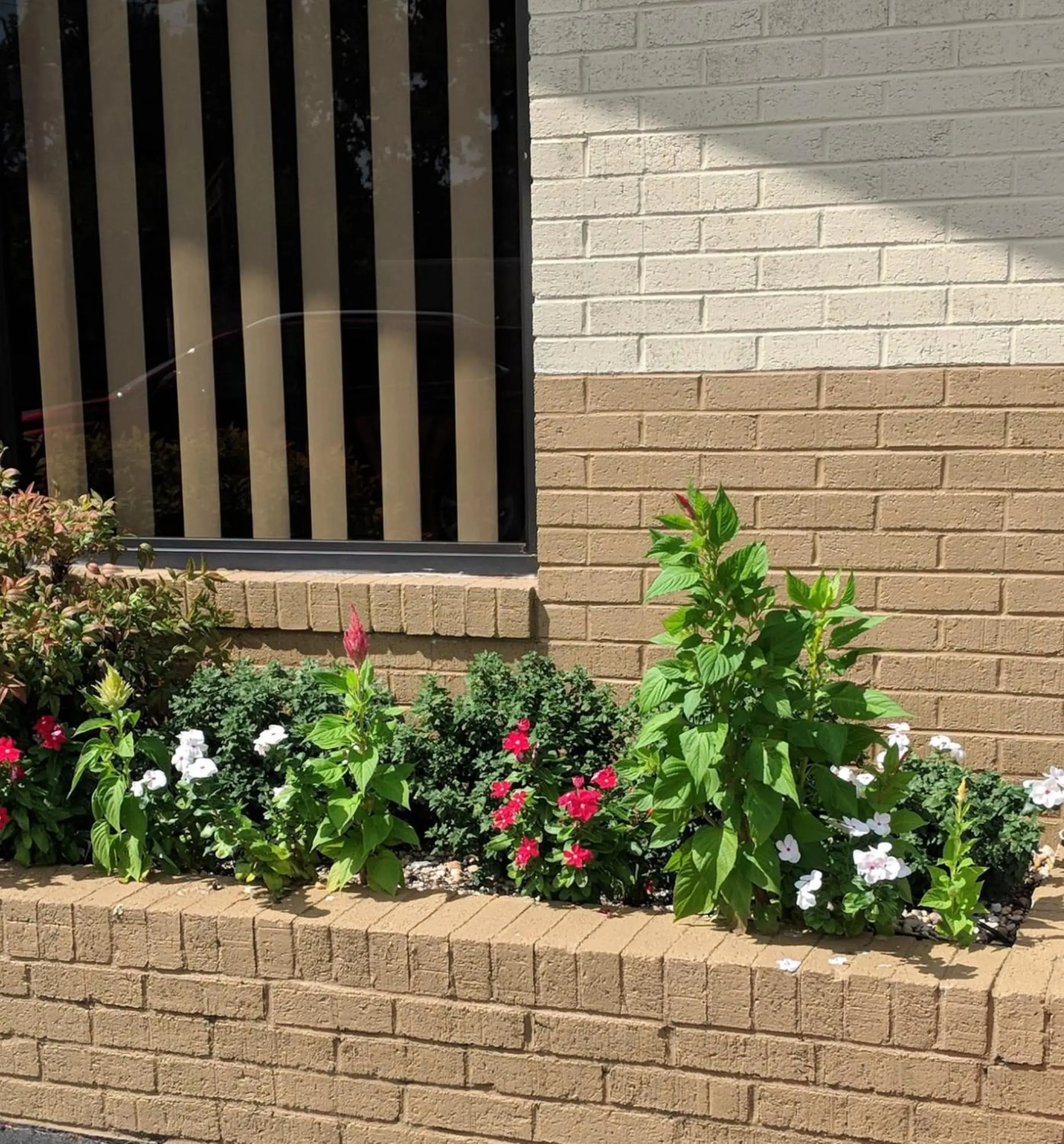 Decorative detail in Loyalty Inn Rockingham Decorative detail in Loyalty Inn Rockingham