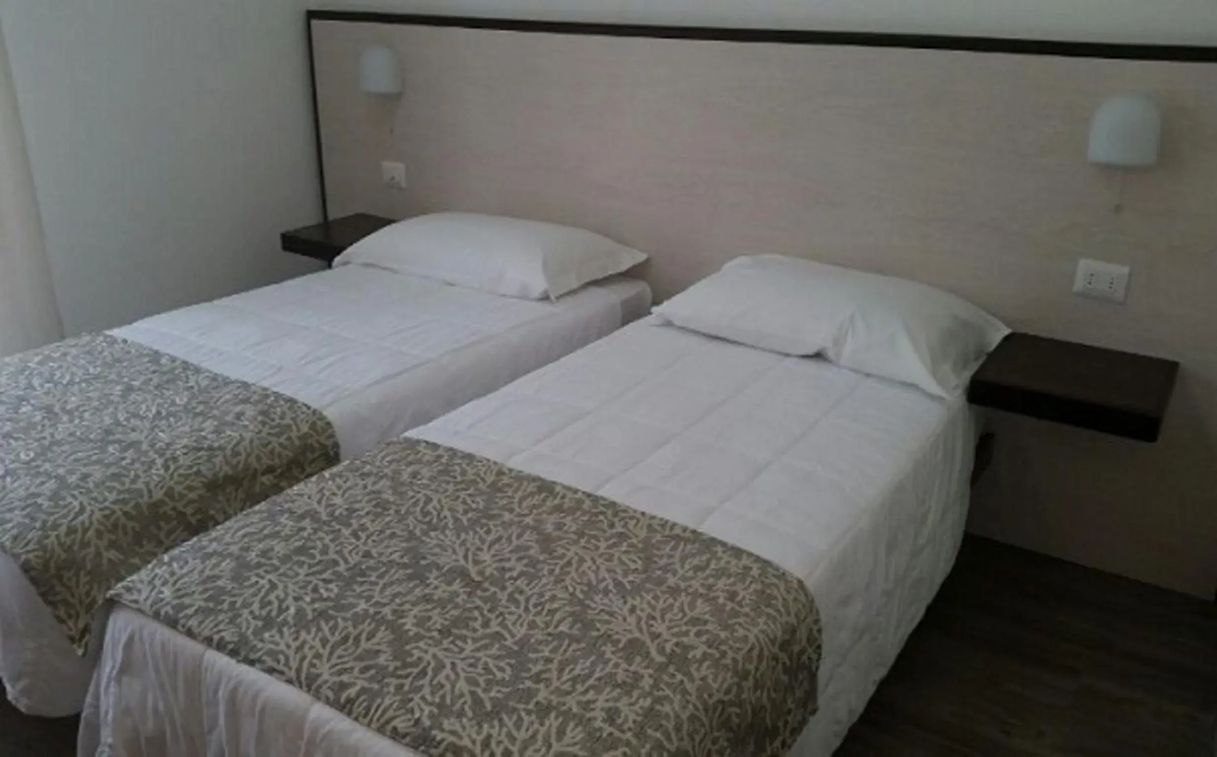 Triple Room in Eden Park Triple Room in Eden Park