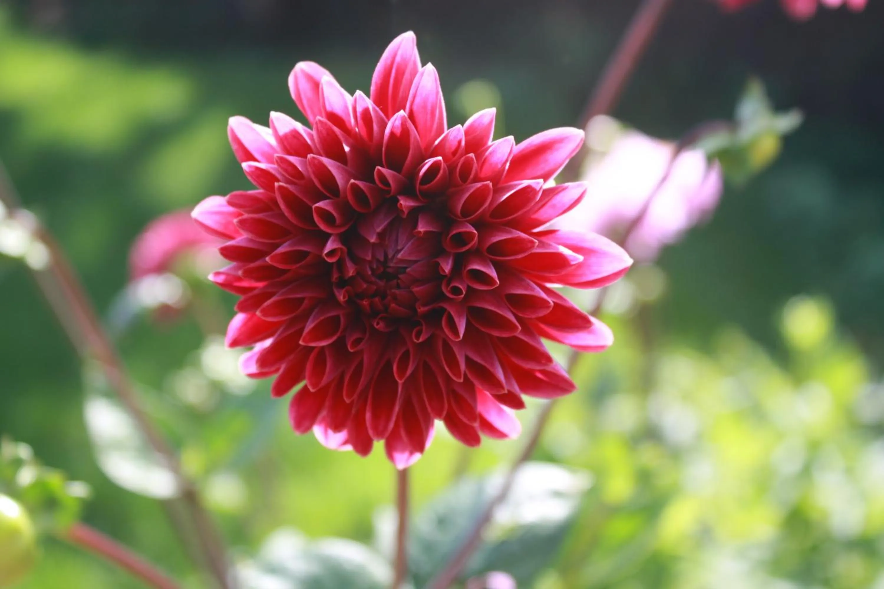 On site in Logerenbijonsz